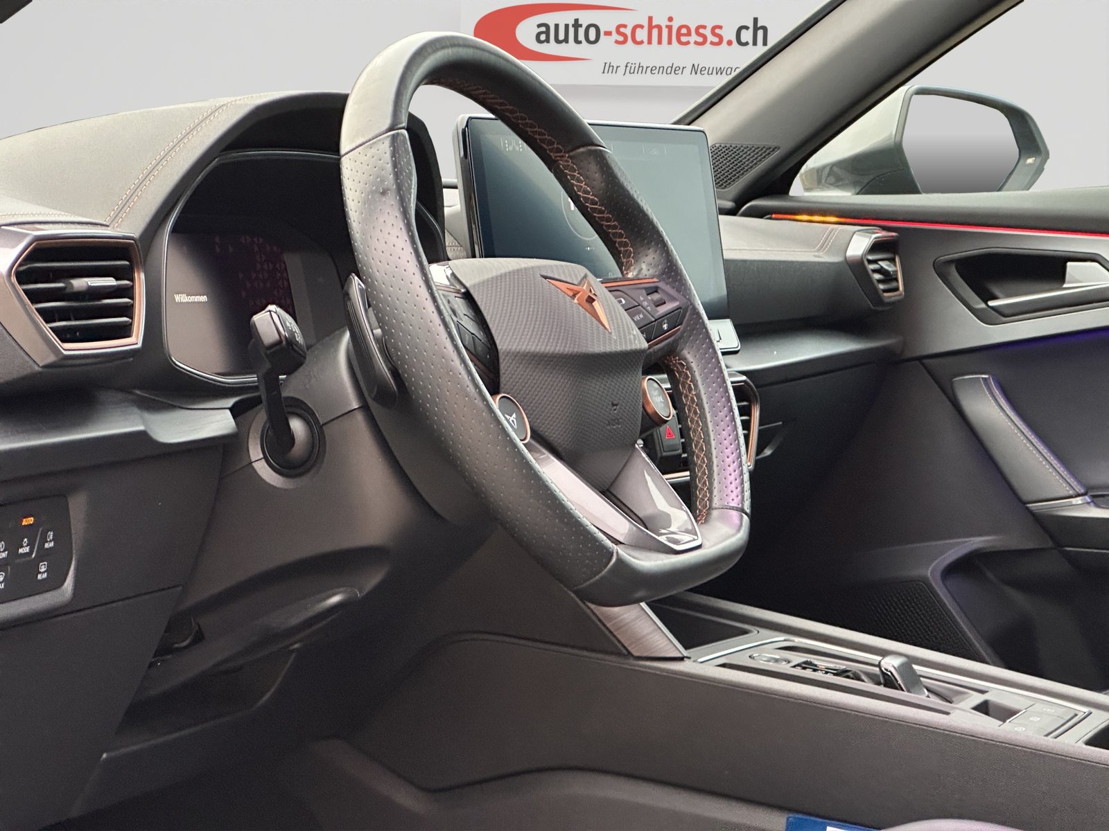 CUPRA Formentor 2.0TSI VZ 4Drive DSG, Benzin, Occasion / Gebraucht, Automat - 6