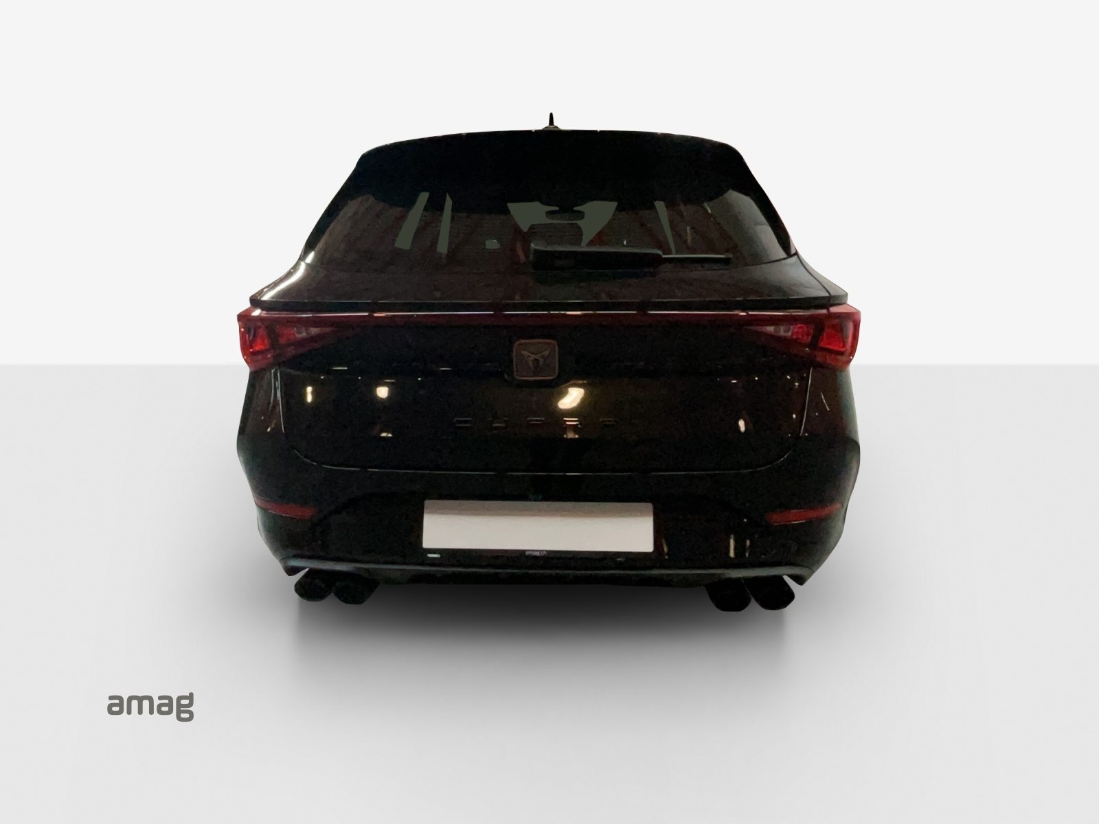 CUPRA LEON SPORTSTOURER 4DRIVE, Essence, Occasion / Utilisé, Automatique - 6