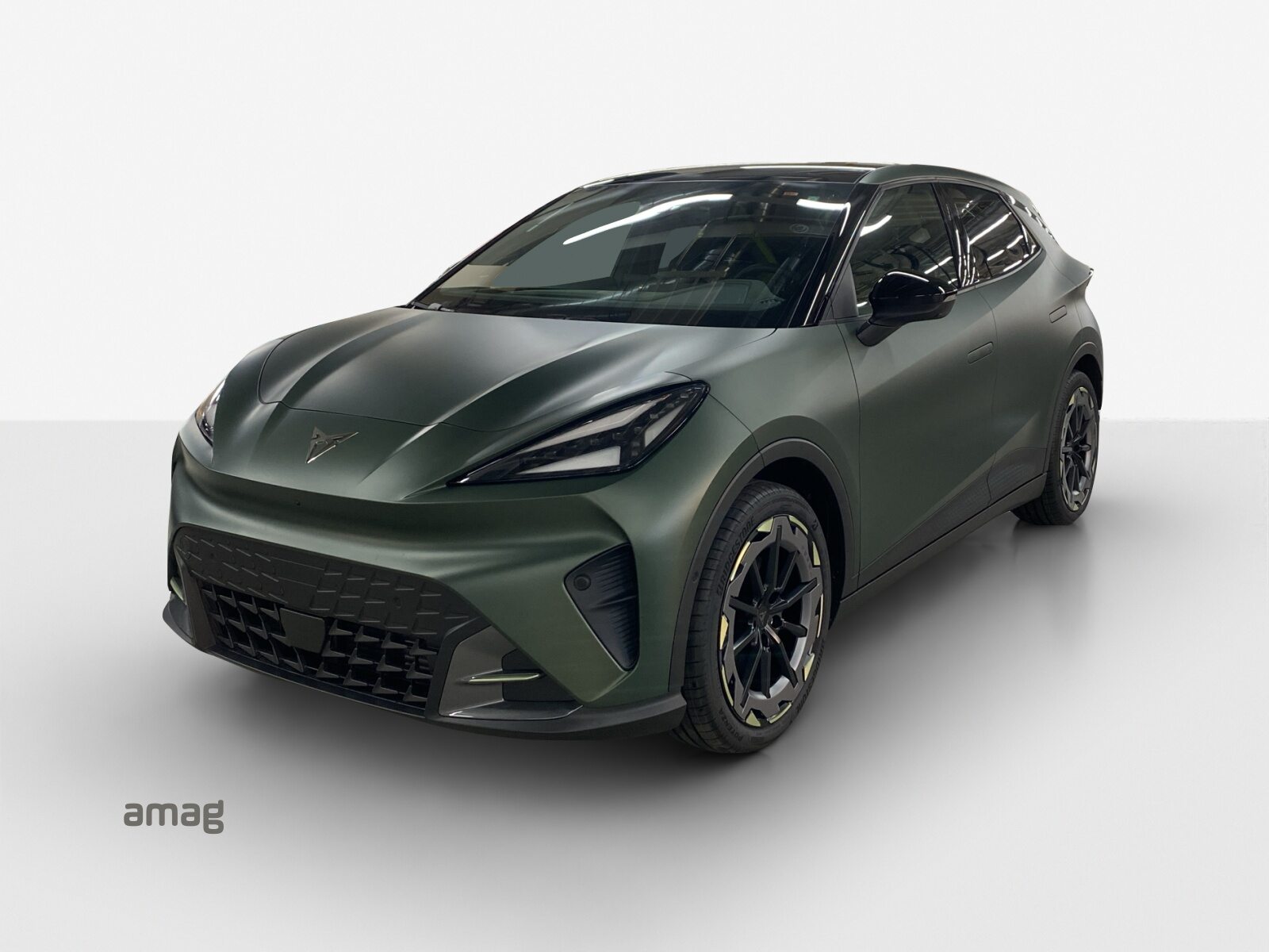 CUPRA RAVAL VZ EXTREME 55 kWh 166 kW