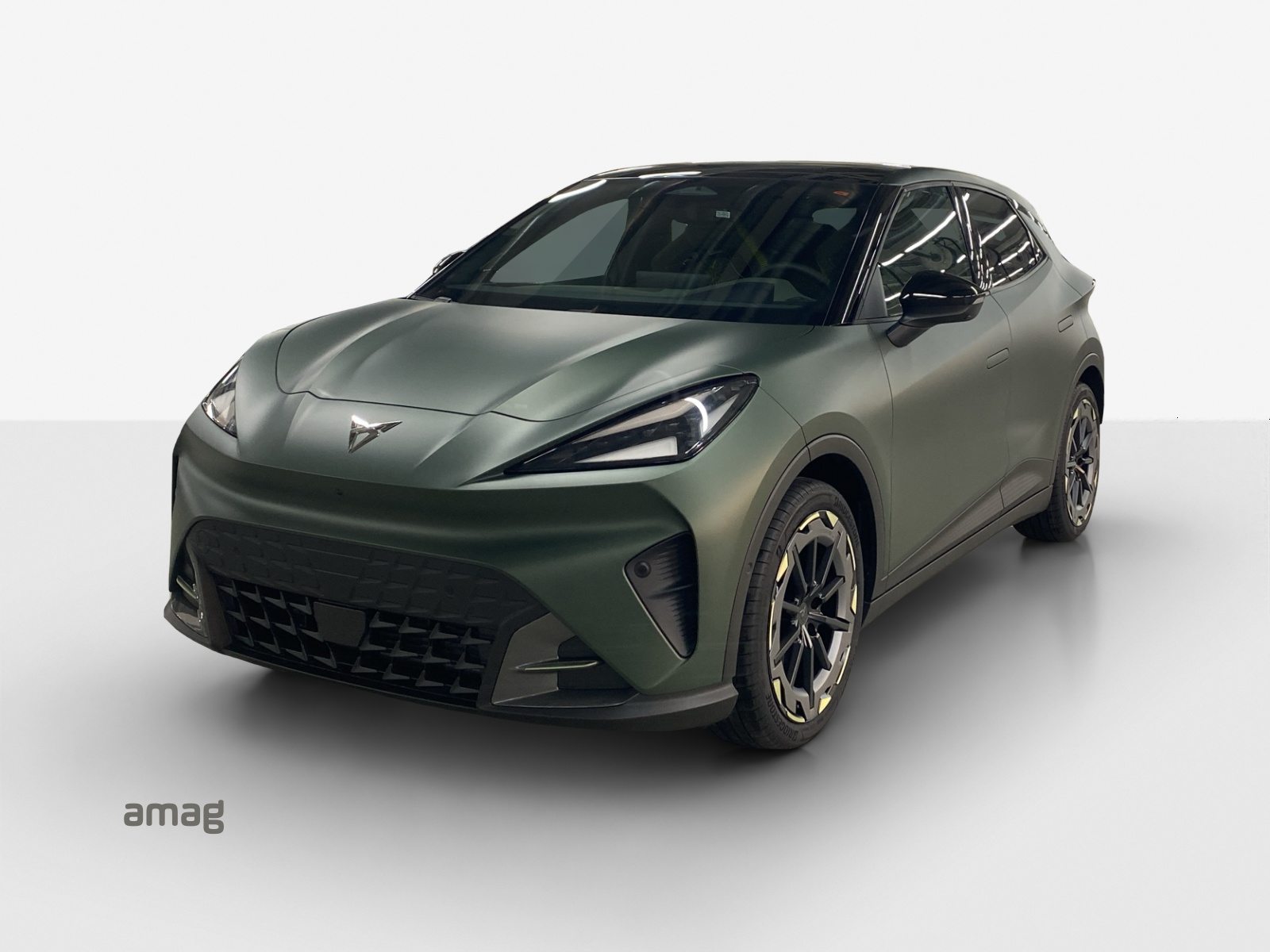 CUPRA RAVAL VZ EXTREME 55 kWh 166 kW