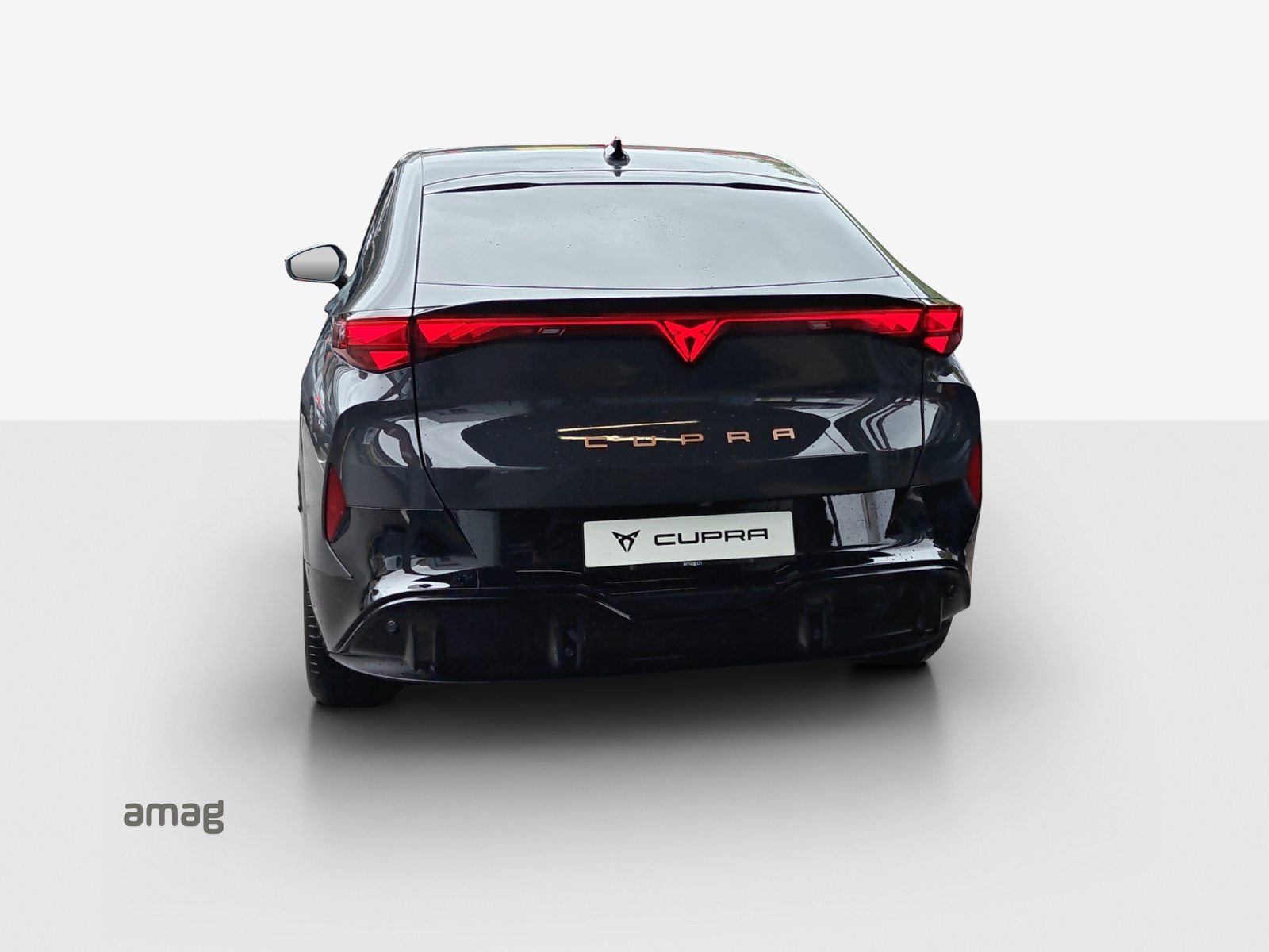 CUPRA TAVASCAN EDGE TYPE 4 77kWh 286PS (netto) PRIME EDITION, Elettrica, Auto nuove, Automatico - 4
