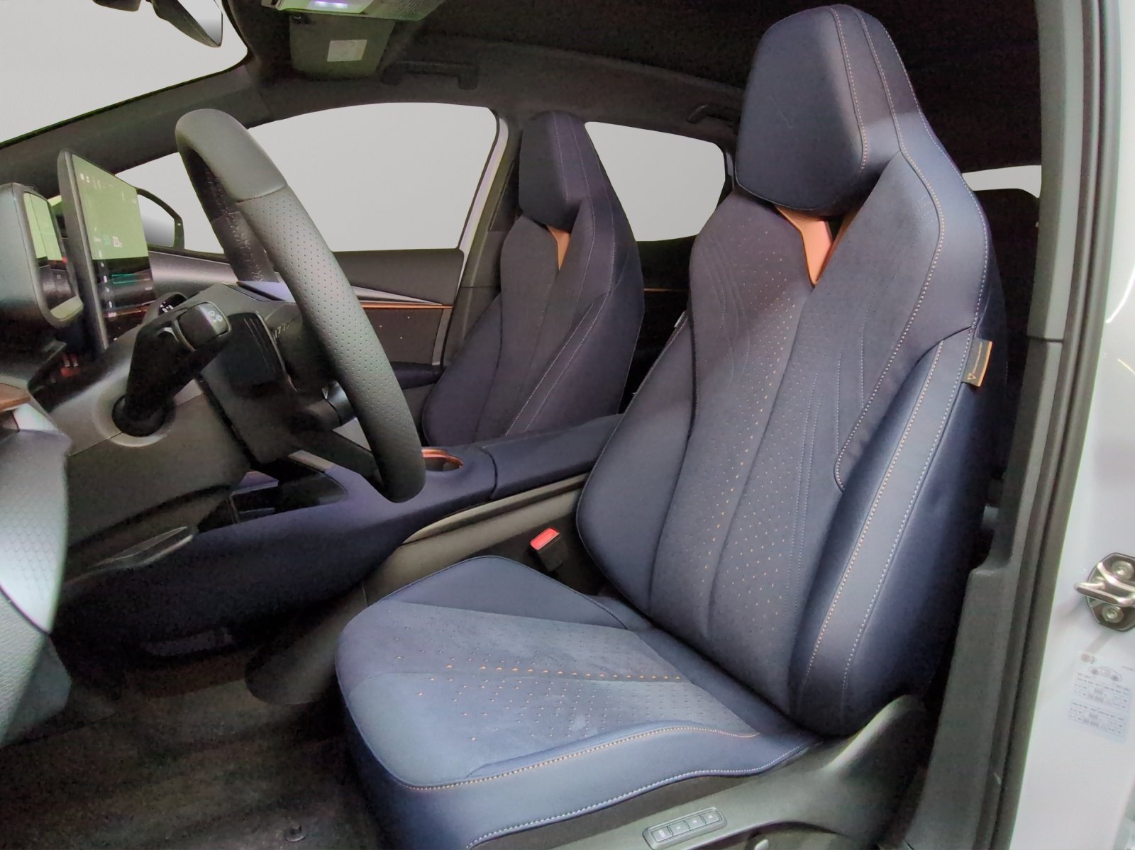 CUPRA Tavascan Type 9 77 kWh VZ Adrenaline, Elettrica, Auto nuove, Automatico - 6
