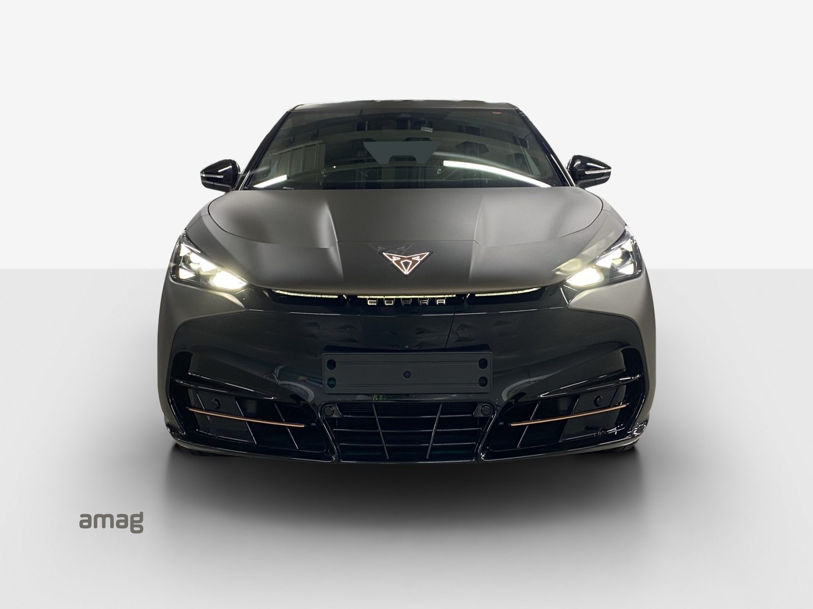 CUPRA TAVASCAN EXTREME TYPE 10 77kWh 340PS 4DRIVE (netto) PRIME ED, Électrique, Voiture nouvelle, Automatique - 7