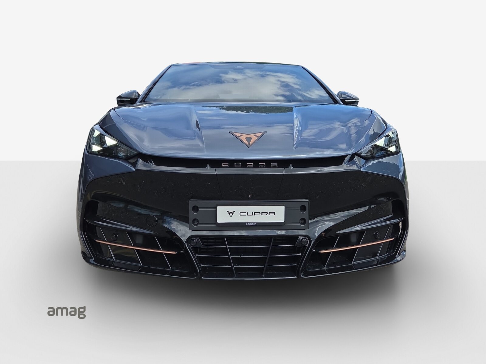 CUPRA TAVASCAN EXTREME TYPE 10 77kWh 340PS 4DRIVE (netto) PRIME ED, Électrique, Voiture nouvelle, Automatique - 7