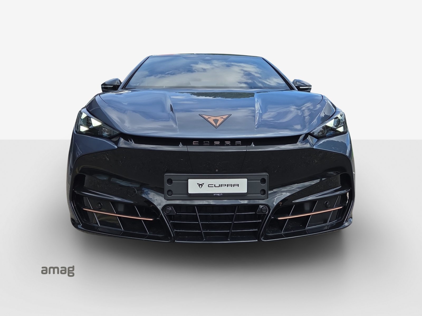 CUPRA TAVASCAN EXTREME TYPE 10 77kWh 340PS 4DRIVE (netto) PRIME ED, Elektro, Neuwagen, Automatik - 7