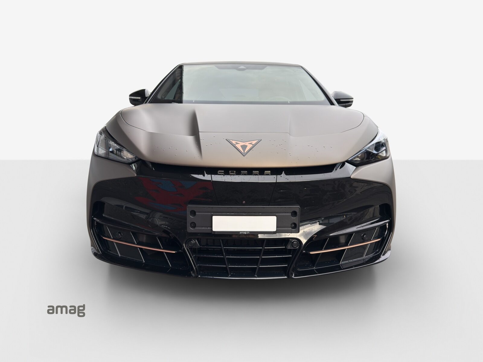 CUPRA TAVASCAN EXTREME TYPE 10 77kWh 340PS 4DRIVE PRIME EDITION, Elektro, Neuwagen, Automatik - 7