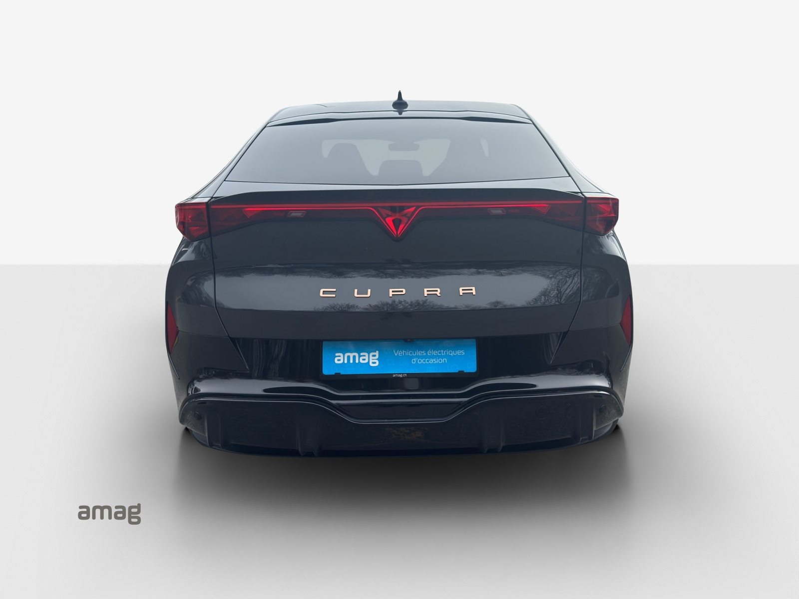 CUPRA TAVASCAN ENDURANCE TYPE 4 77kWh 286PS (netto), Elektro, Occasion / Gebraucht, Automatik - 5