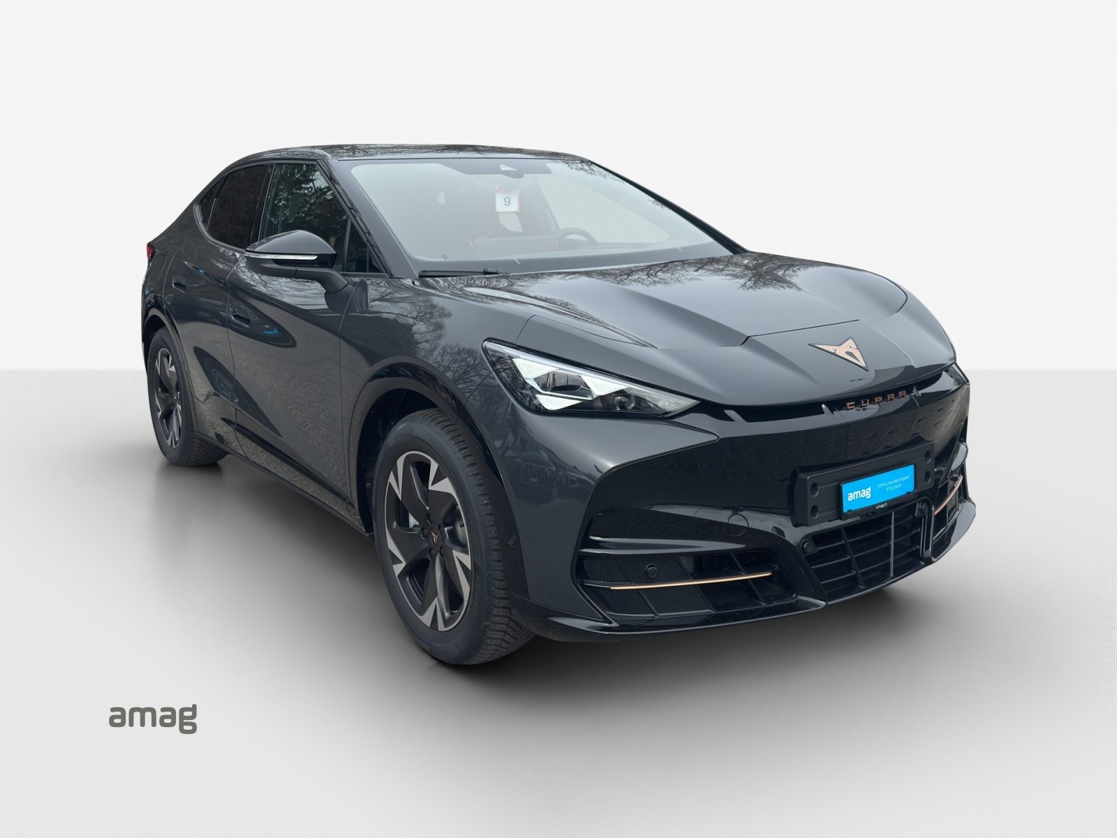 CUPRA TAVASCAN ENDURANCE TYPE 4 77kWh 286PS (netto), Elektro, Occasion / Gebraucht, Automatik - 7