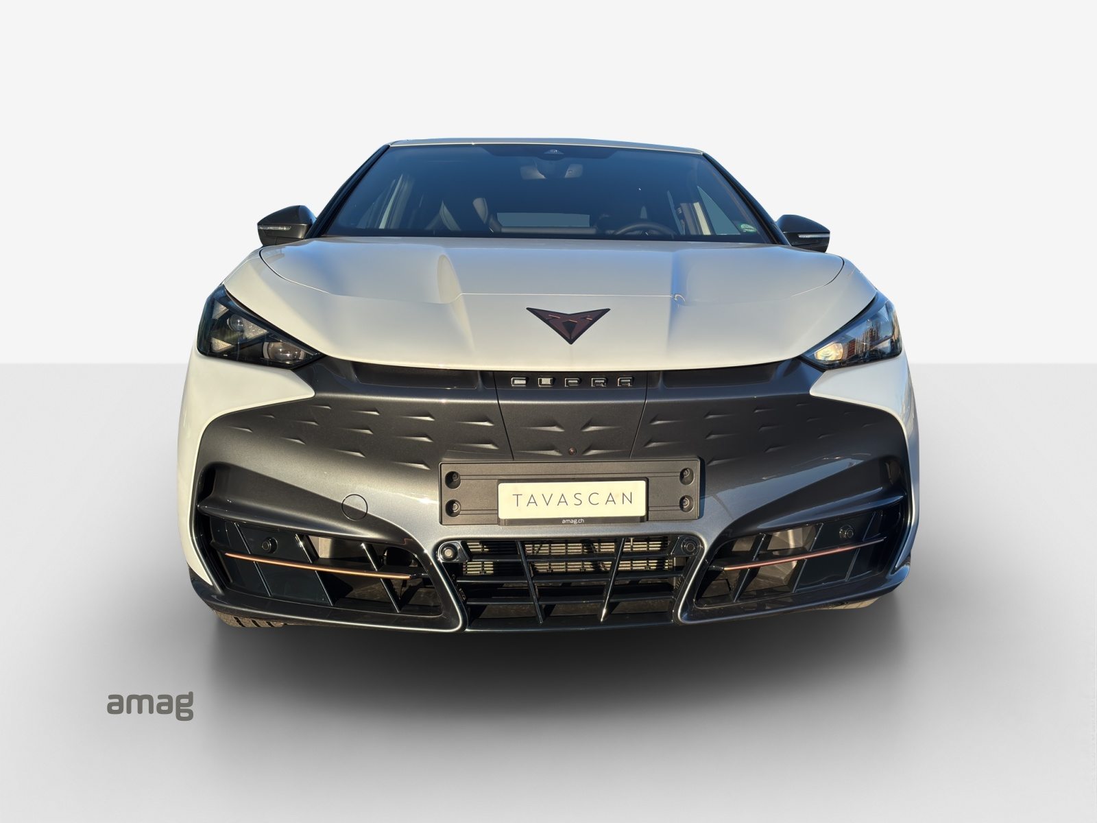 CUPRA TAVASCAN EXTREME TYPE 10 77kWh 340PS 4DRIVE (netto), Electric, Second hand / Used, Automatic - 7