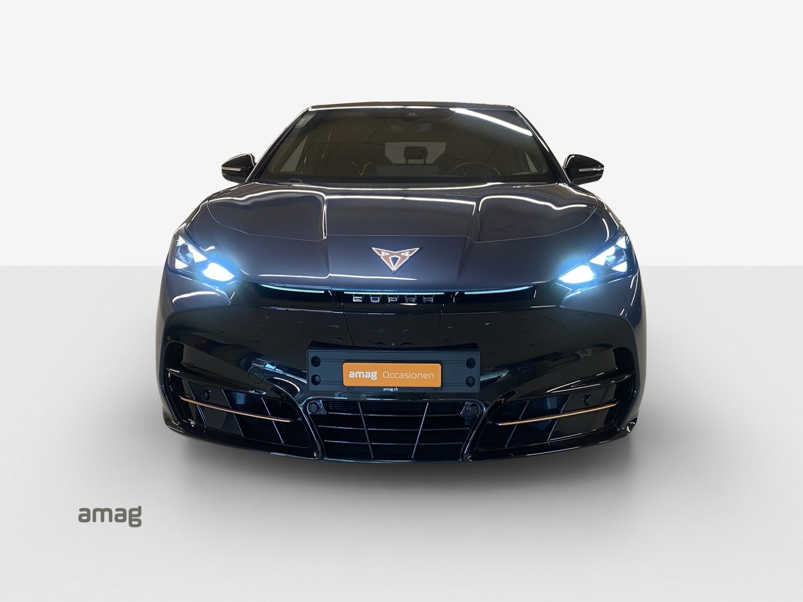 CUPRA TAVASCAN ADRENALINE TYPE 9 77kWh 340PS 4DRIVE (netto), Elektro, Occasion / Gebraucht, Automatik - 5