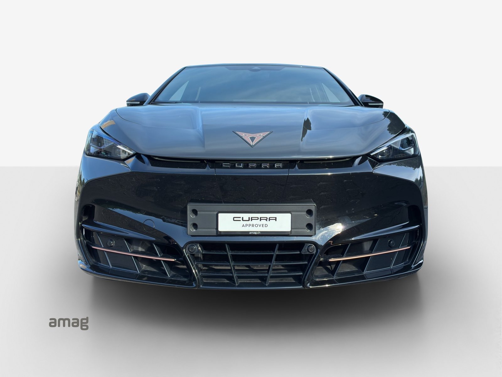 CUPRA TAVASCAN VZ TYPE 8 77kWh 340PS 4DRIVE (netto), Électrique, Occasion / Utilisé, Automatique - 7