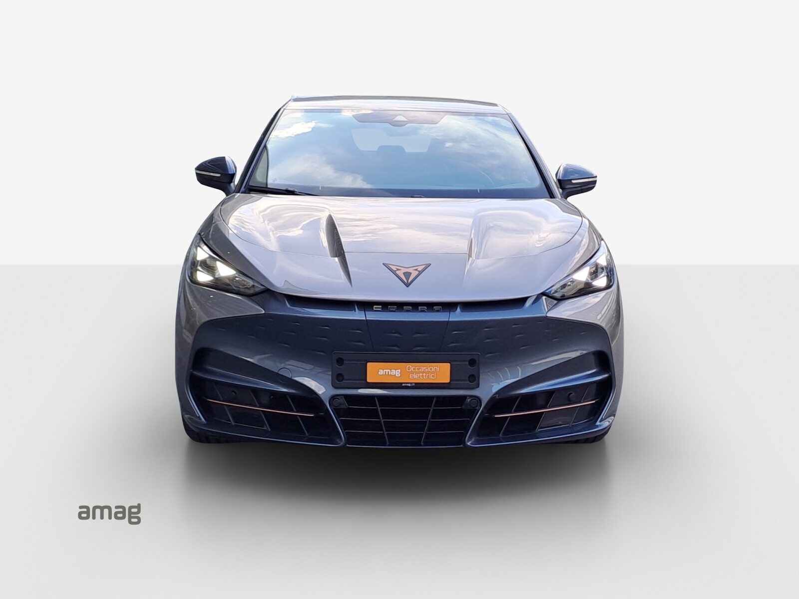 CUPRA TAVASCAN VZ TYPE 8 77kWh 340PS 4DRIVE (netto), Électrique, Occasion / Utilisé, Automatique - 7