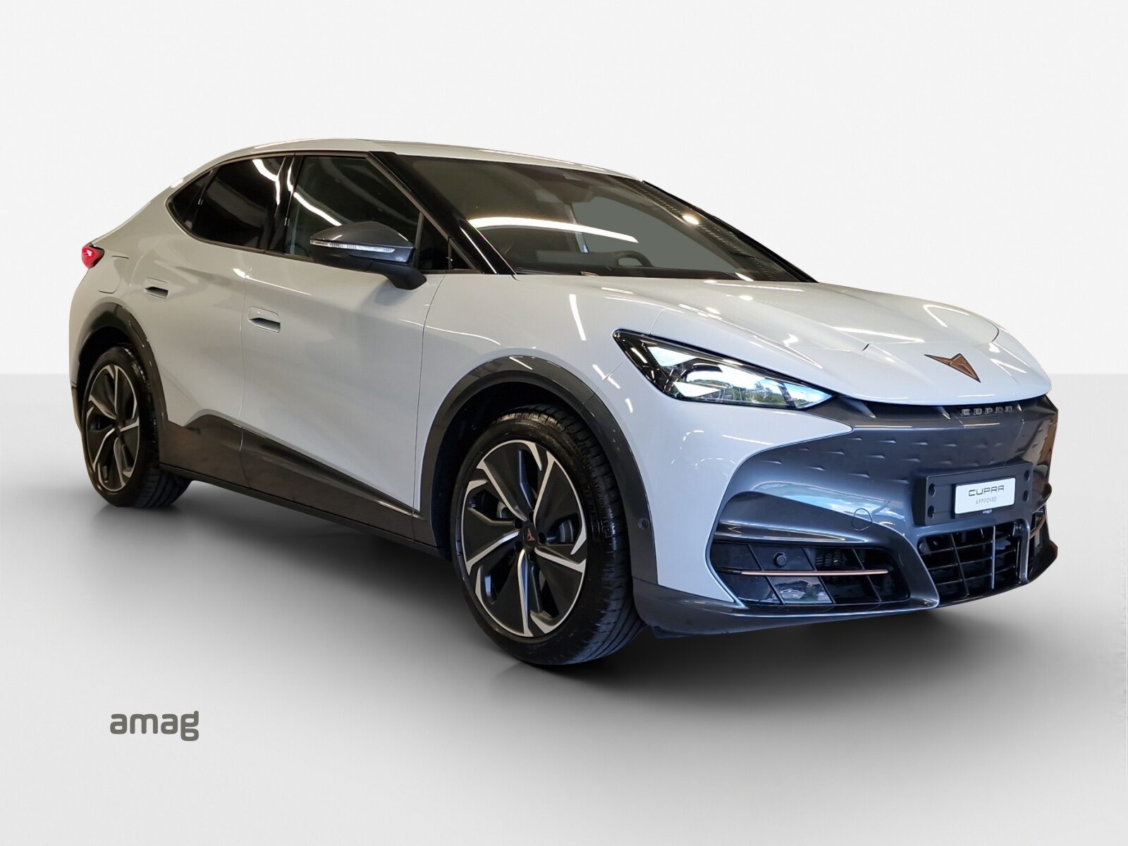 CUPRA TAVASCAN VZ TYPE 8 77kWh 340PS 4DRIVE (netto), Elettrica, Occasioni / Usate, Automatico - 7