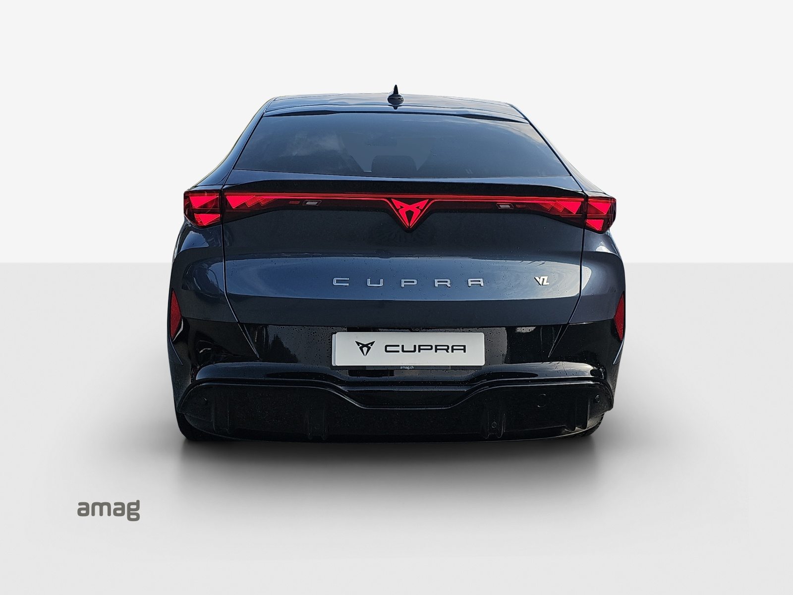 CUPRA TAVASCAN EXTREME TYPE 10 77kWh 340PS 4DRIVE (netto), Elektro, Vorführwagen, Automatik - 4