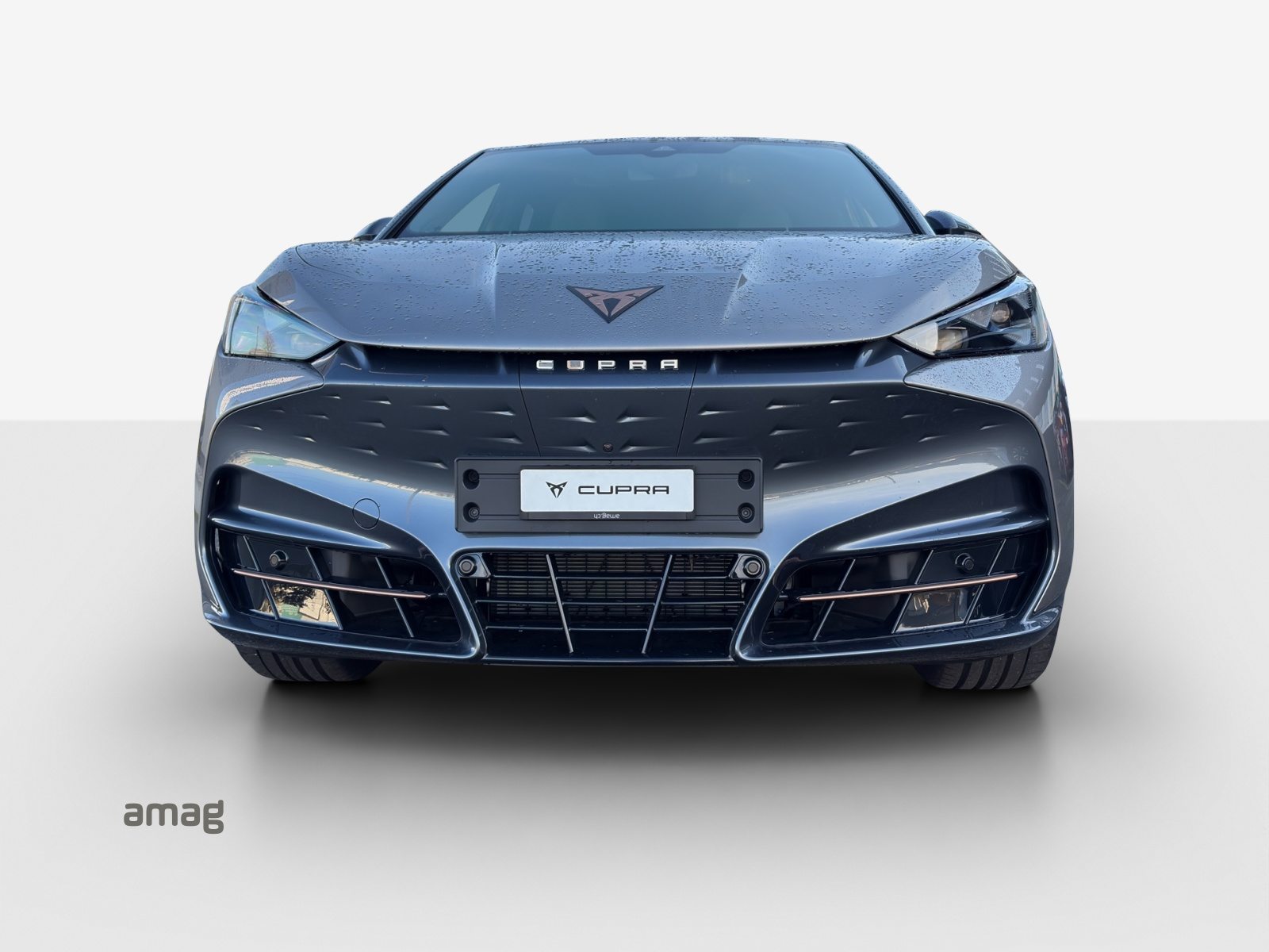 CUPRA TAVASCAN EXTREME TYPE 10 77kWh 340PS 4DRIVE (netto), Électrique, Voiture nouvelle, Automatique - 7