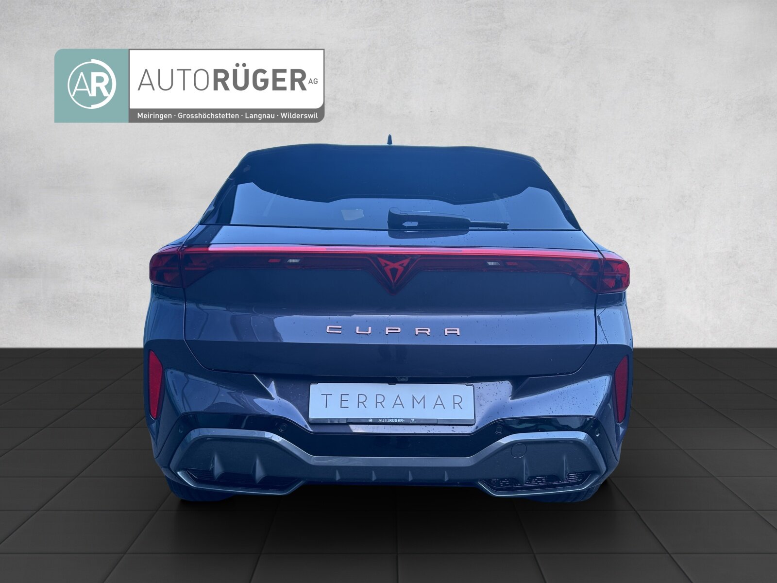 CUPRA TERRAMAR, Mild-Hybrid Benzin/Elektro, Occasion / Gebraucht, Automatik - 5