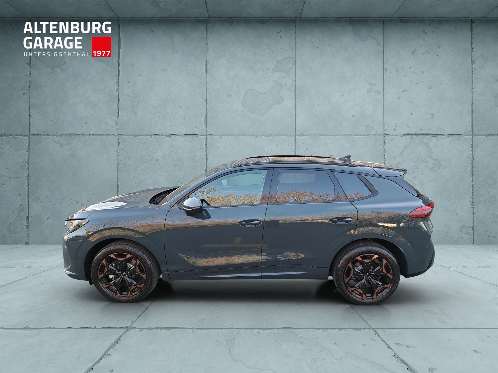 CUPRA Terramar 2.0 TSI Prime Edition DSG 4Drive, Essence, Voiture nouvelle, Automatique - 2
