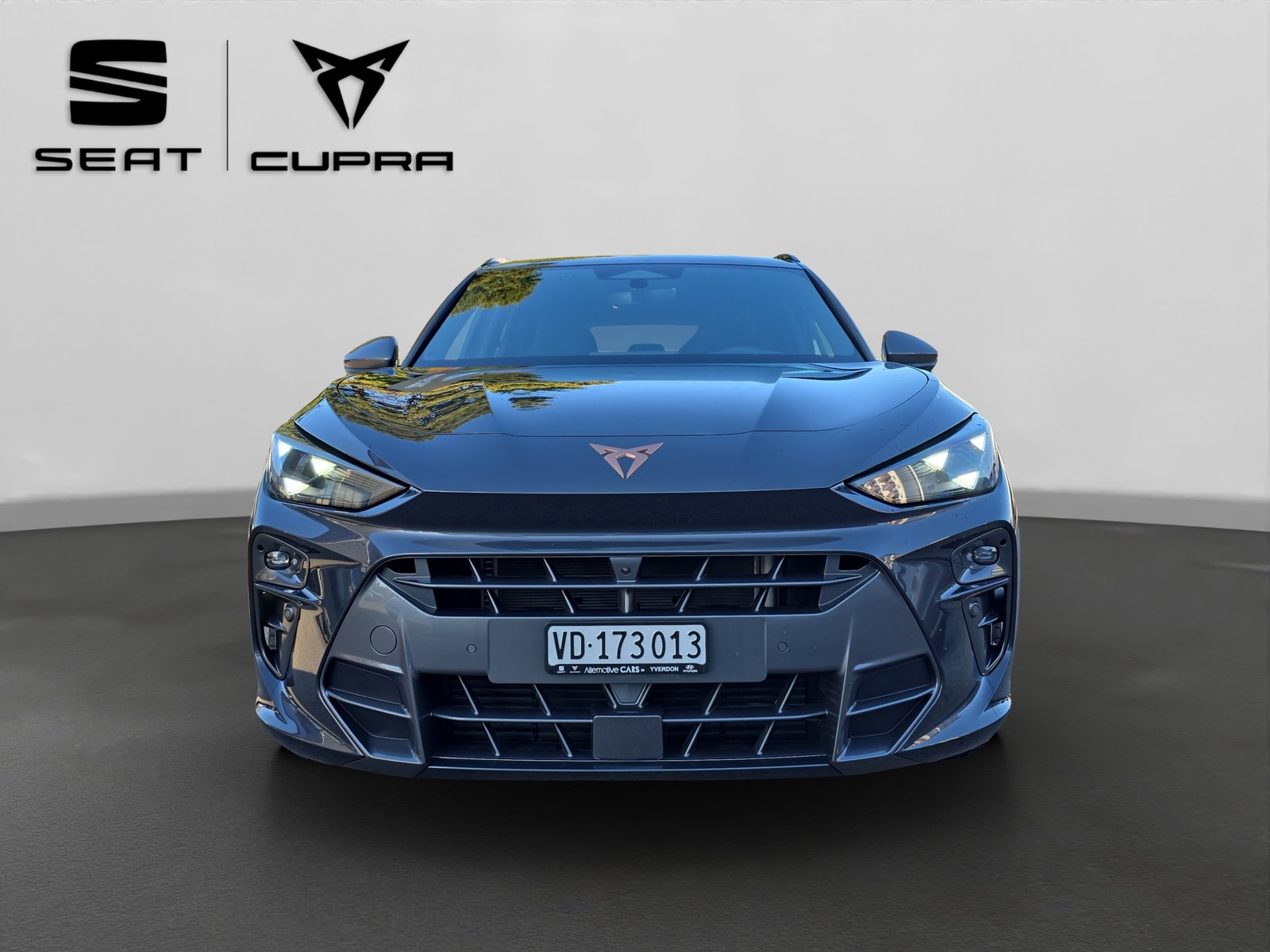 CUPRA Terramar 2.0 TSI DSG 4Drive Business Edition, Benzina, Occasioni / Usate, Automatico - 2