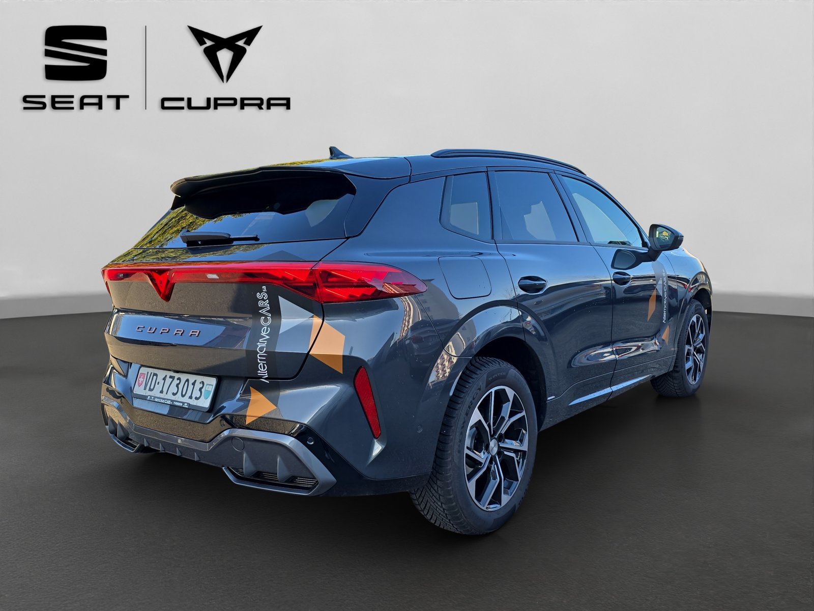 CUPRA Terramar 2.0 TSI DSG 4Drive Business Edition, Benzina, Occasioni / Usate, Automatico - 6