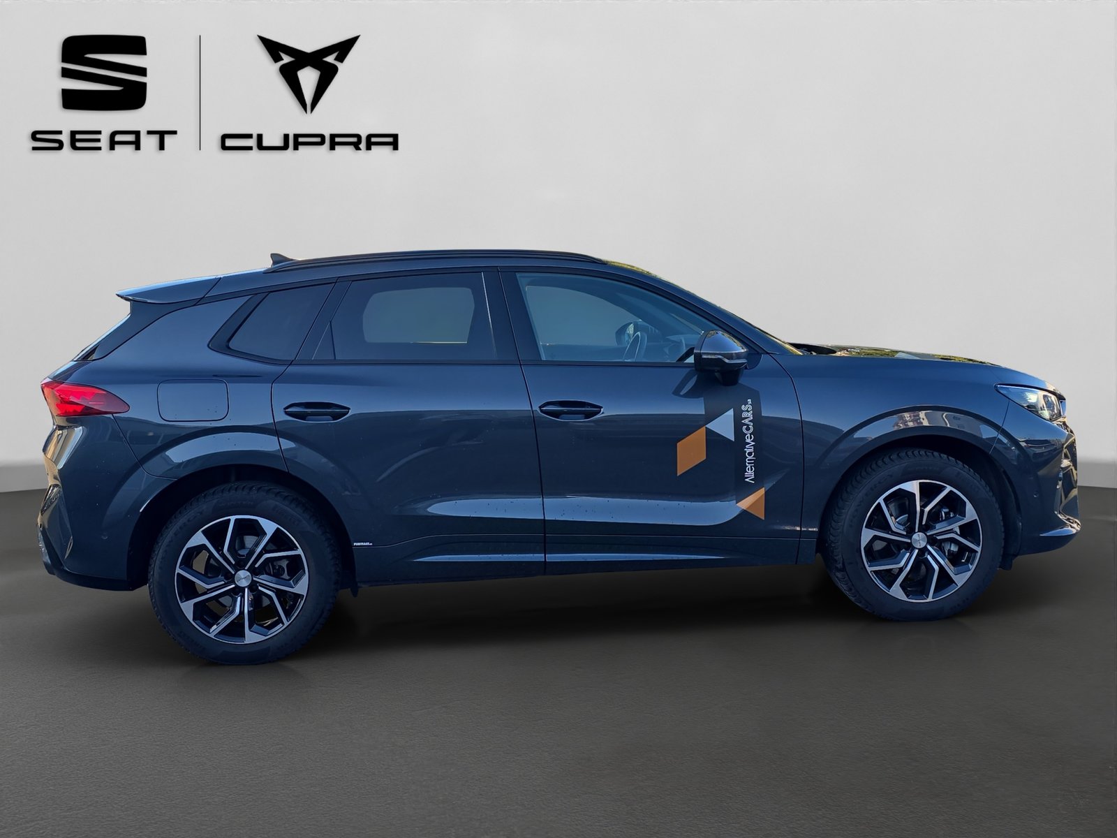 CUPRA Terramar 2.0 TSI DSG 4Drive Business Edition, Benzina, Occasioni / Usate, Automatico - 7