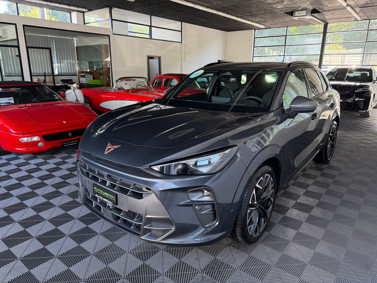 CUPRA Terramar 2.0 TSI 204 PS 4X4 DSG 4Drive Business Editio, Essence, Occasion / Utilisé, Automatique - 6