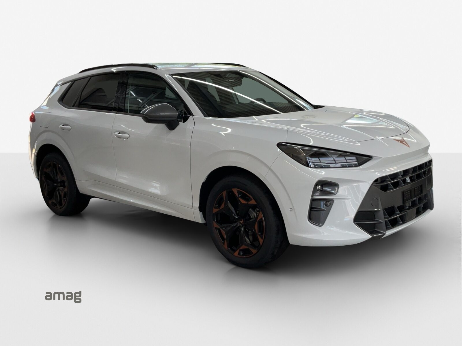 CUPRA TERRAMAR 4DRIVE PRIME EDITION, Essence, Véhicule neuf pré-immatriculé, Automatique - 6