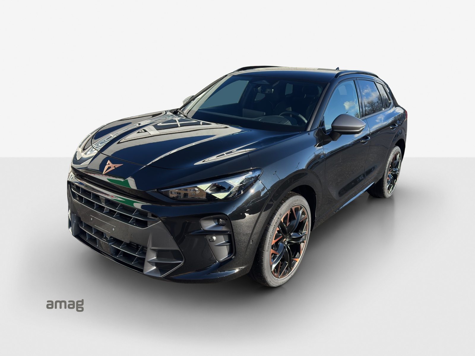 CUPRA TERRAMAR 4DRIVE