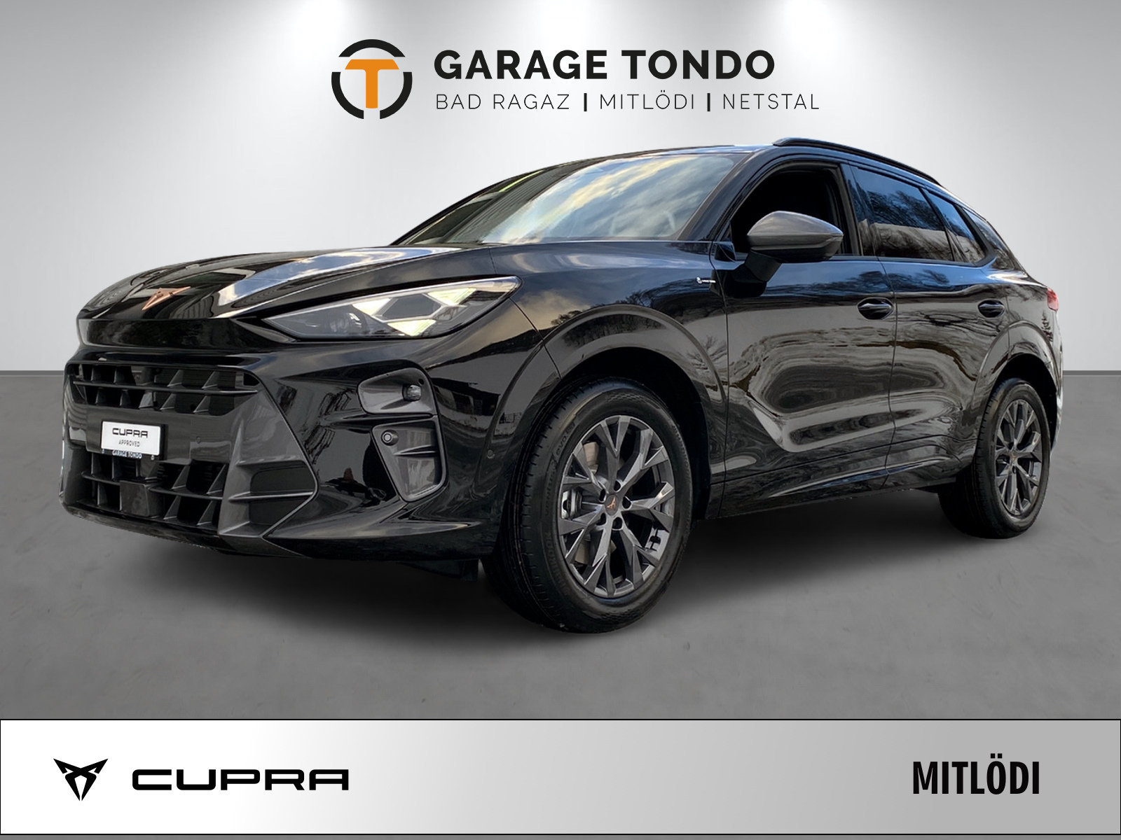 CUPRA Terramar 2.0 TSI 4Drive DSG