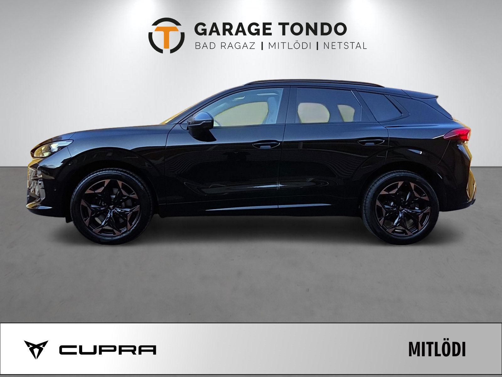 CUPRA Terramar 2.0 TSI Prime Edition VZ 4Drive DSG, Petrol, New car, Automatic - 3