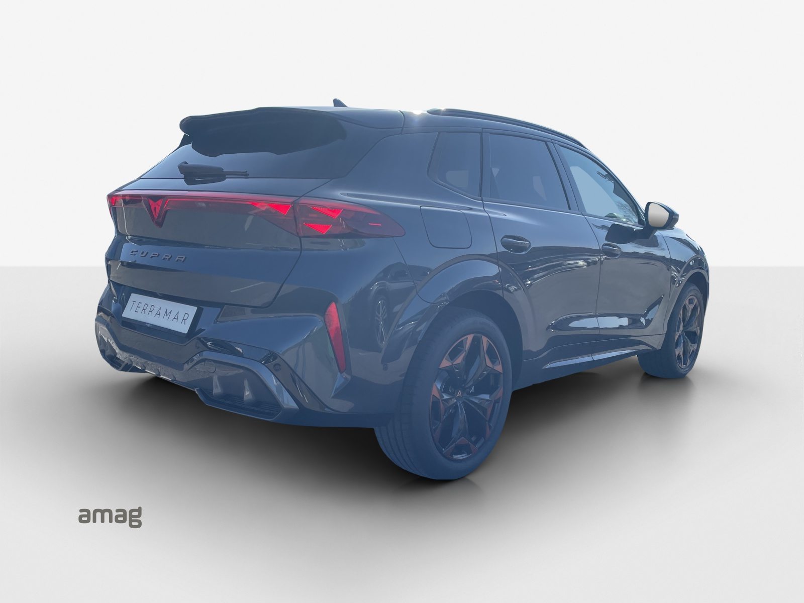 CUPRA TERRAMAR PRIME EDITION, Petrol, New car, Automatic - 5