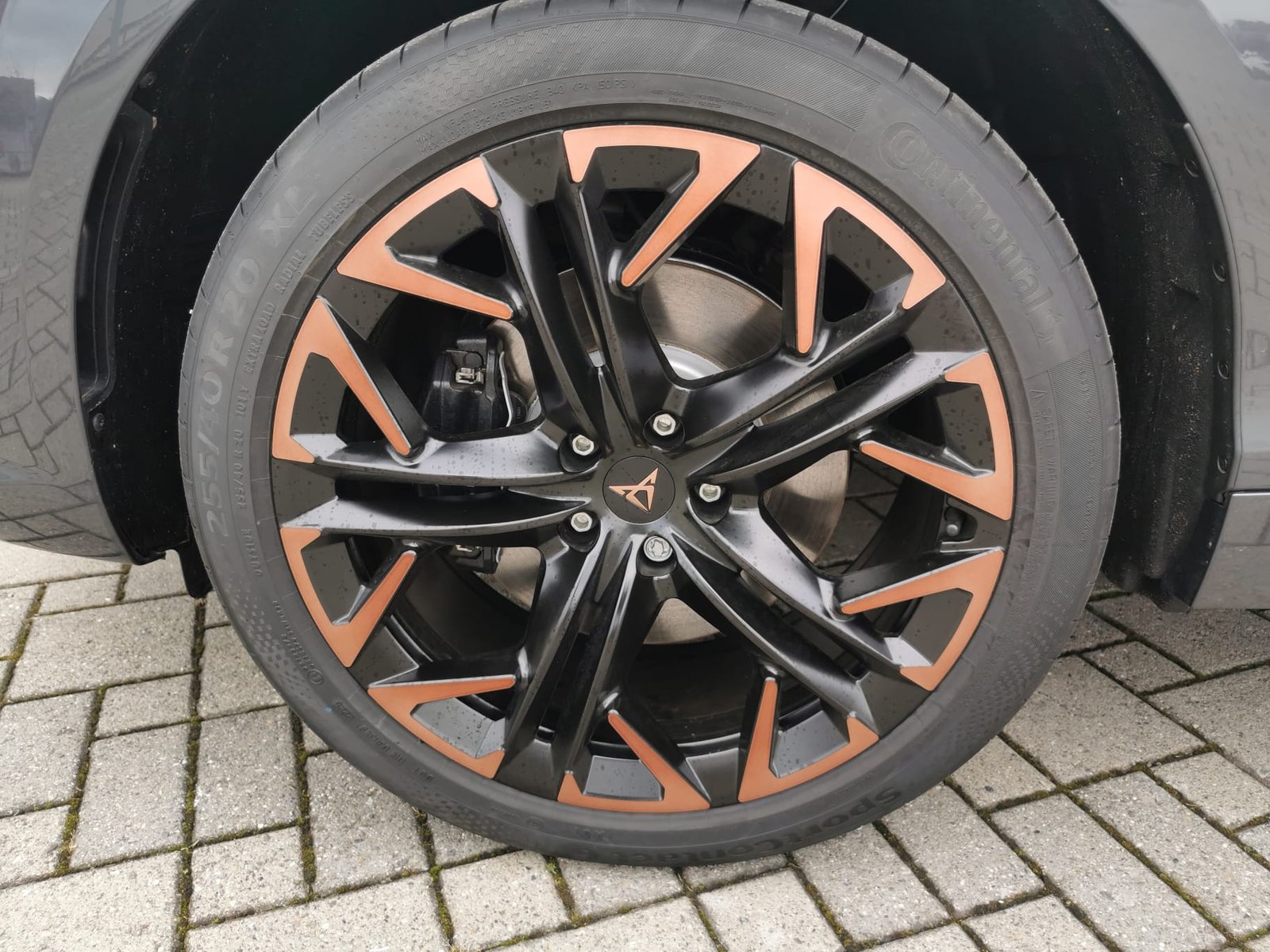 CUPRA Terramar 2.0 TSI VZ 4Drive DSG, Essence, Voiture nouvelle, Automatique - 6