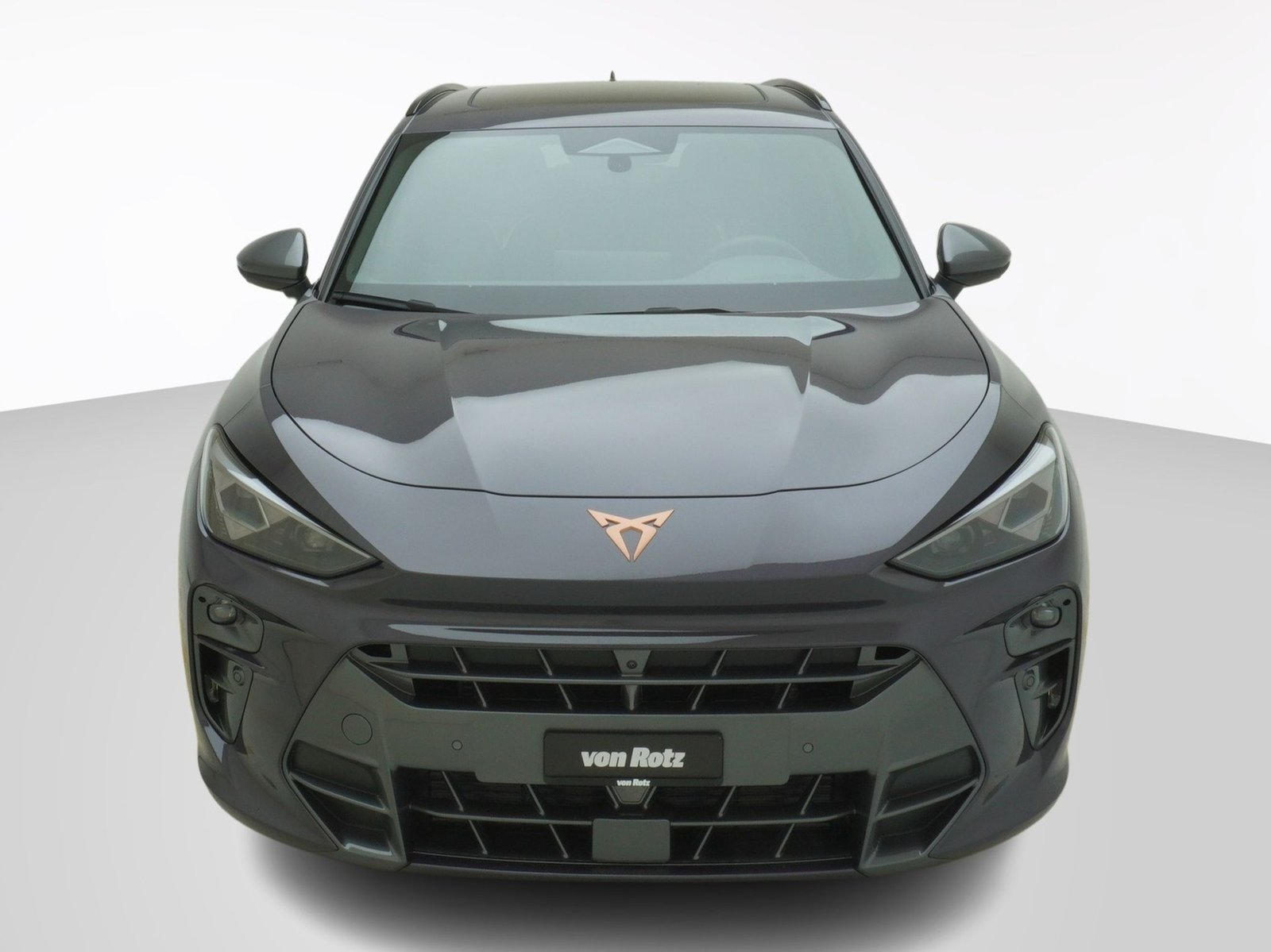 CUPRA Terramar 2.0 TSI VZ 4Drive DSG, Essence, Voiture nouvelle, Automatique - 7