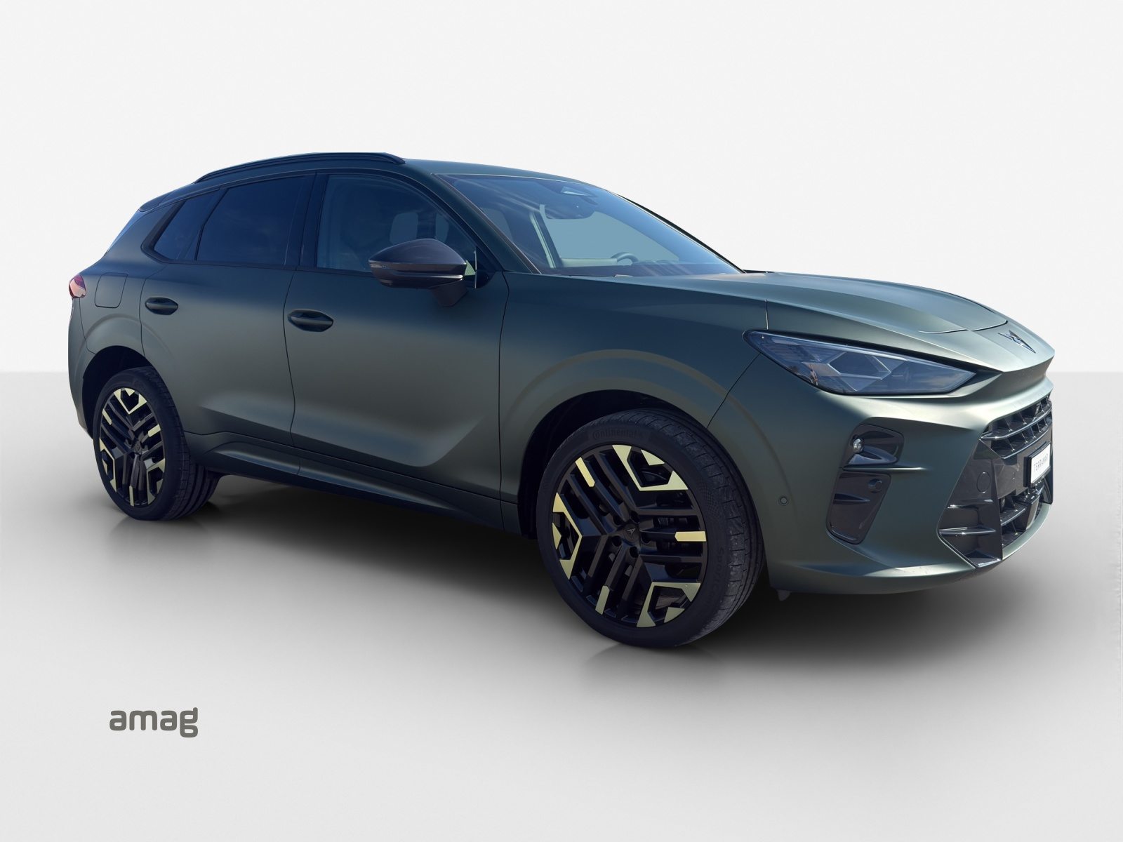 CUPRA TERRAMAR VZ 4DRIVE PRIME EDITION, Benzin, Neuwagen, Automatik - 6