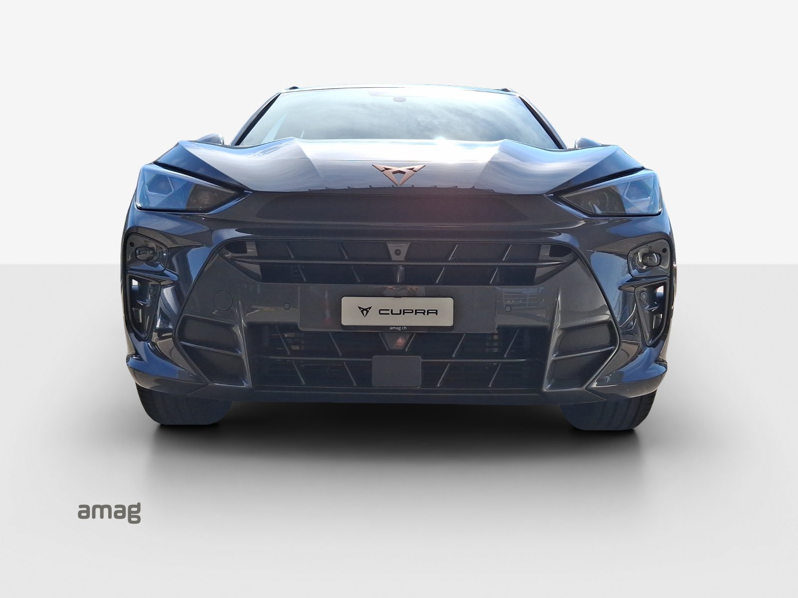 CUPRA TERRAMAR VZ 4DRIVE PRIME EDITION, Benzin, Neuwagen, Automatik - 7