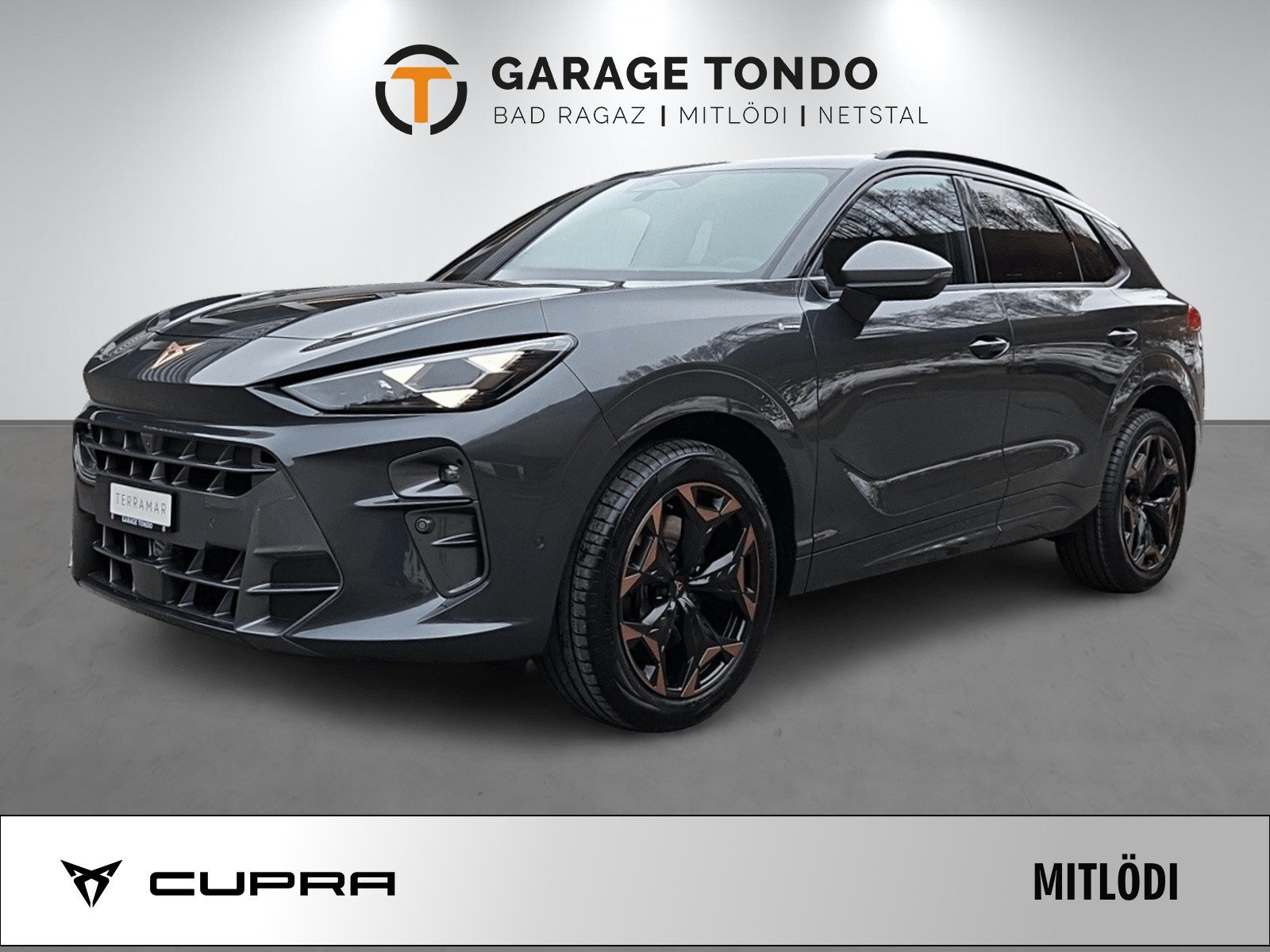 CUPRA Terramar 2.0 TSI Prime Edition VZ 4Drive DSG