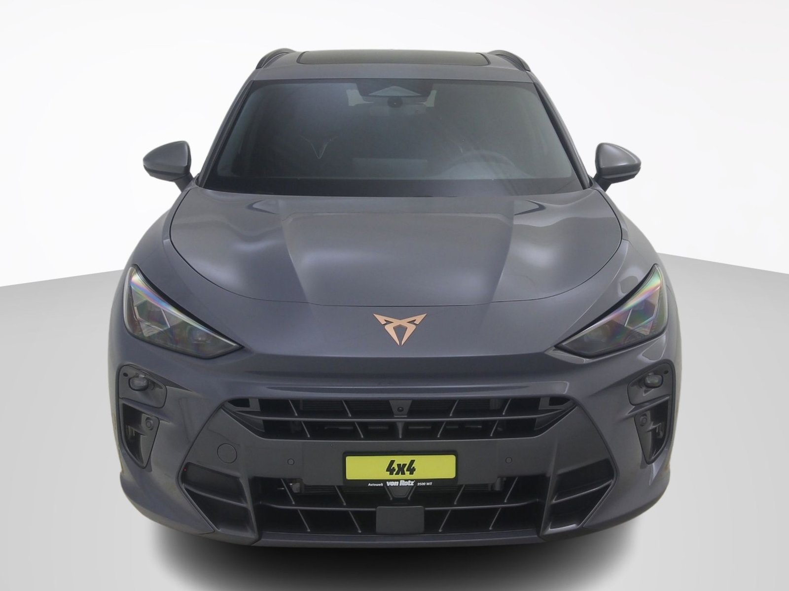 CUPRA Terramar 2.0 TSI VZ 4Drive DSG, Benzina, Auto nuove, Automatico - 6