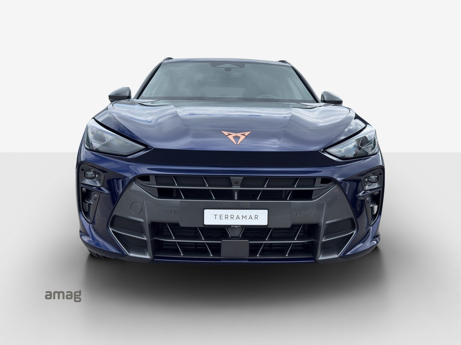 CUPRA TERRAMAR PRIME EDITION, Benzin, Neuwagen, Automatik - 7