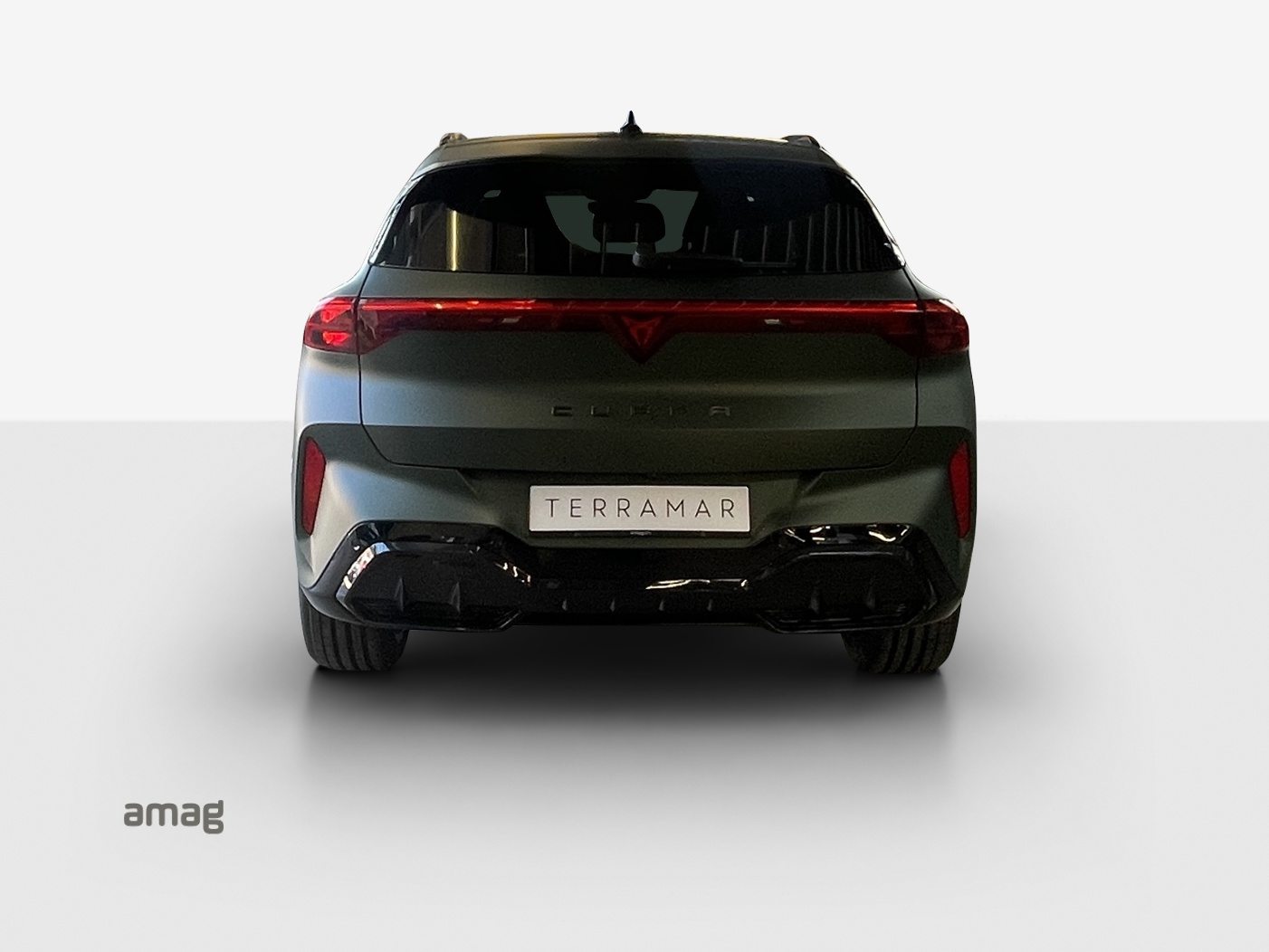 CUPRA TERRAMAR VZ 4DRIVE PRIME EDITION, Benzina, Auto nuove, Automatico - 4