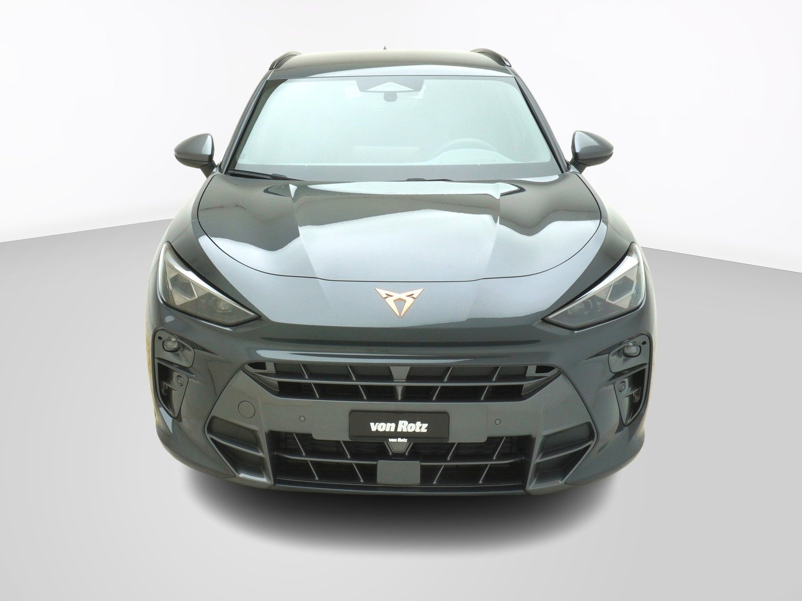 CUPRA Terramar 2.0 TSI 4Drive DSG, Petrol, New car, Automatic - 7