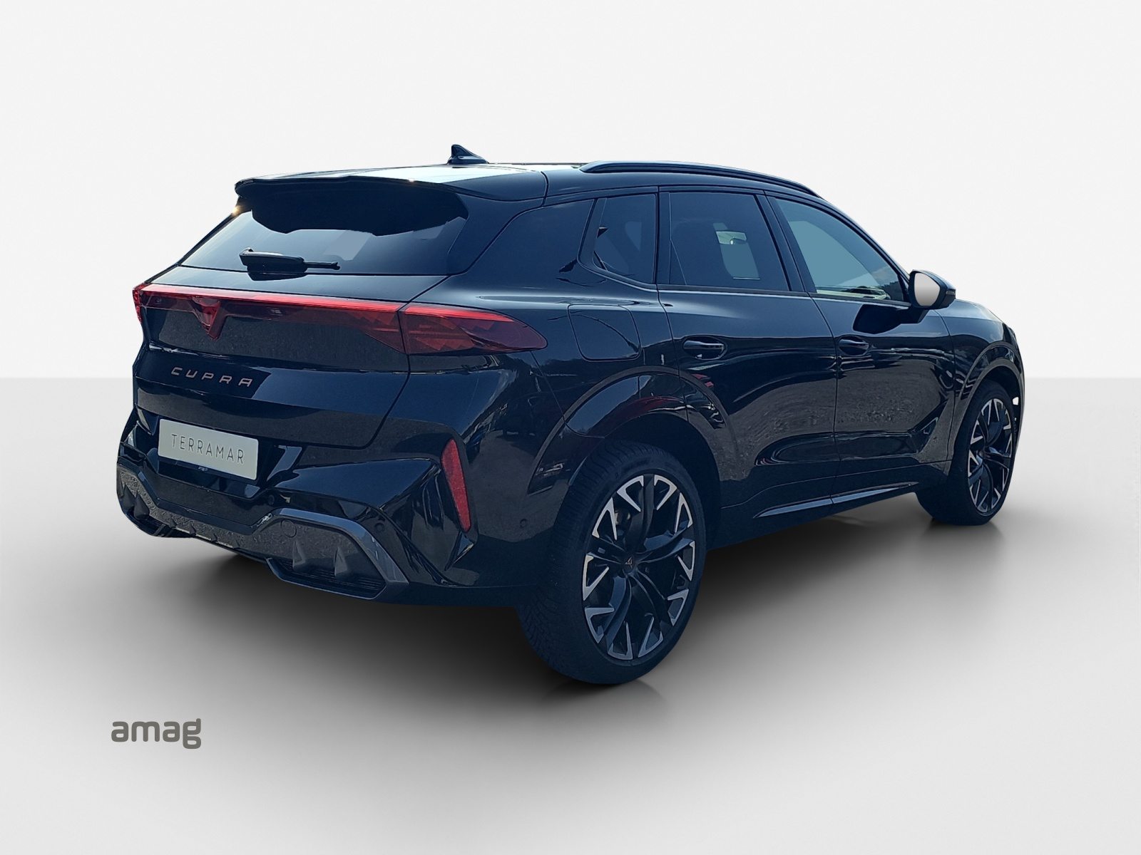 CUPRA TERRAMAR VZ 4DRIVE PRIME EDITION, Benzin, Neuwagen, Automatik - 5