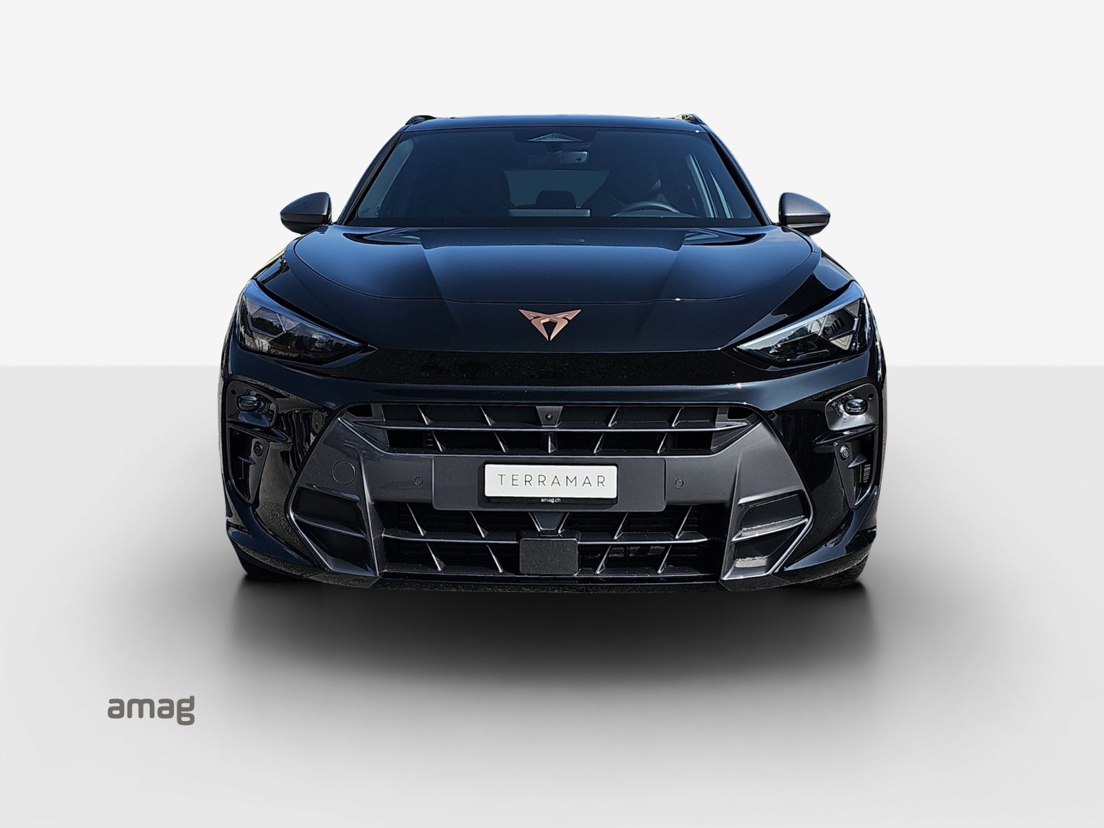 CUPRA TERRAMAR VZ 4DRIVE PRIME EDITION, Benzin, Neuwagen, Automatik - 7