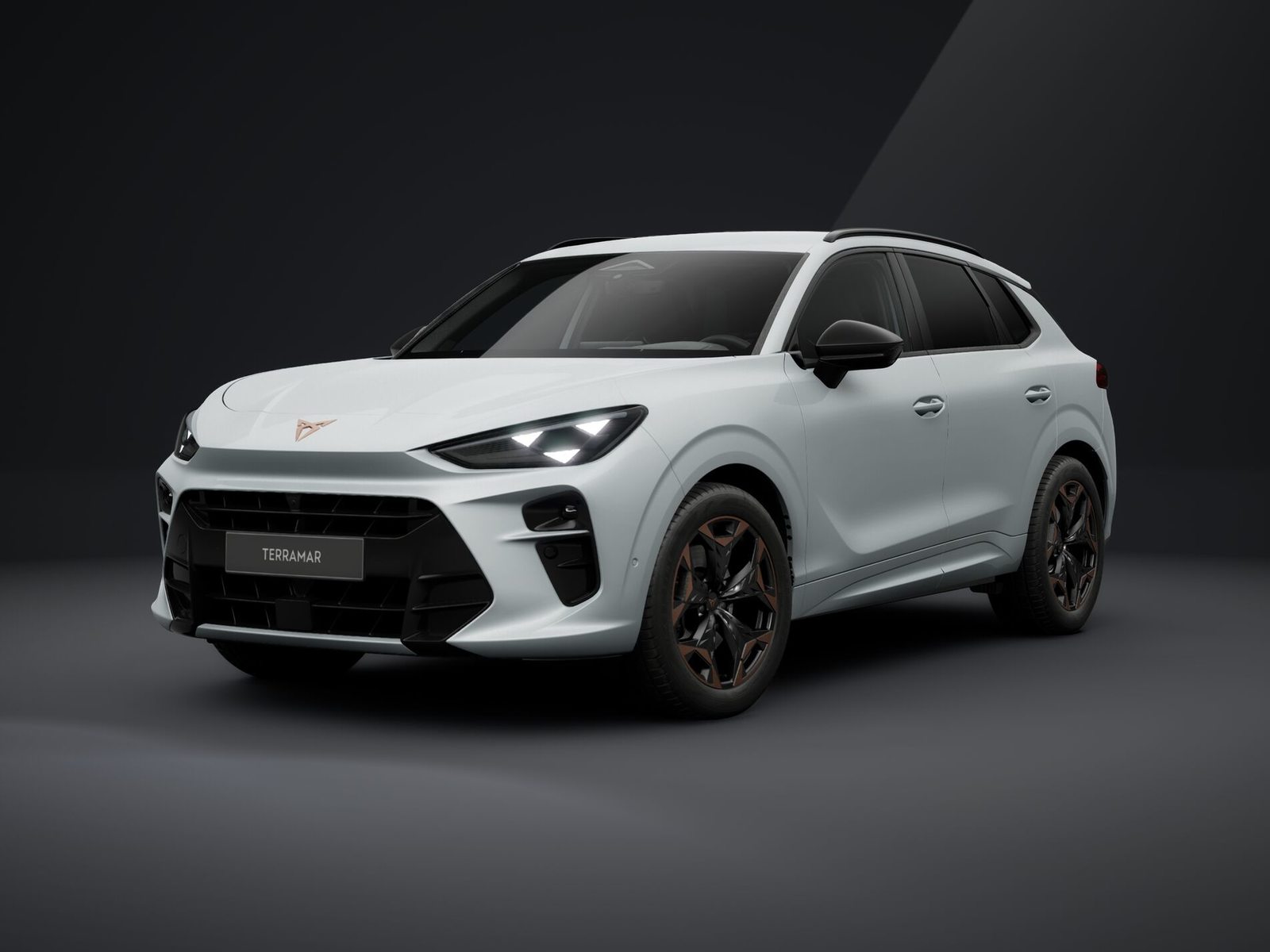 CUPRA TERRAMAR 4DRIVE PRIME EDITION
