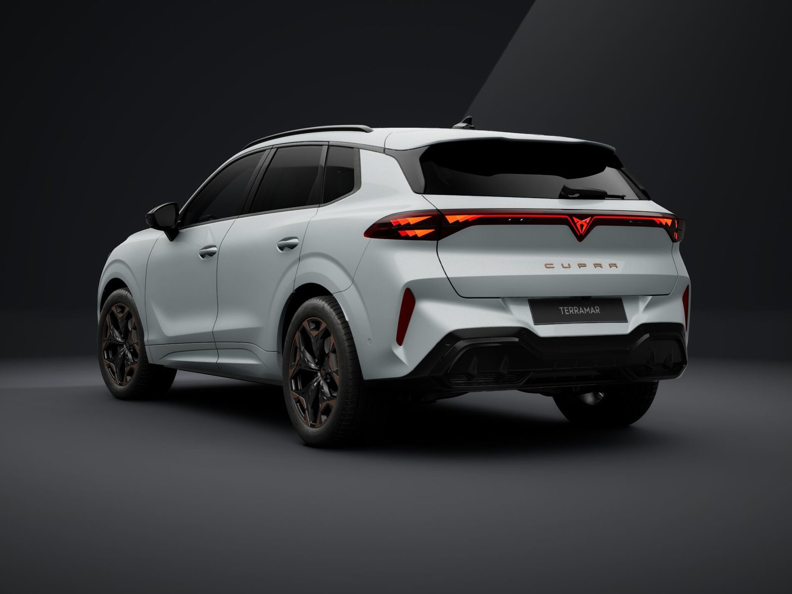 CUPRA TERRAMAR 4DRIVE PRIME EDITION, Petrol, New car, Automatic - 3