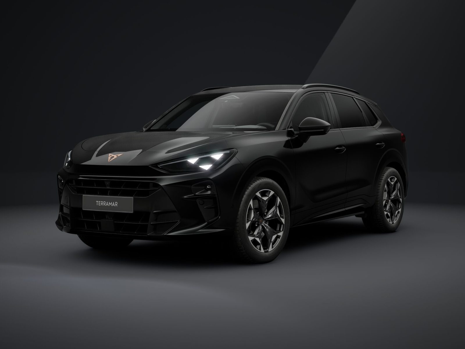CUPRA TERRAMAR VZ 4DRIVE PRIME EDITION