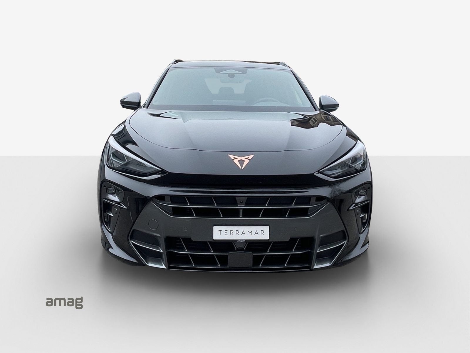 CUPRA TERRAMAR 4DRIVE PRIME EDITION, Benzin, Neuwagen, Automatik - 7