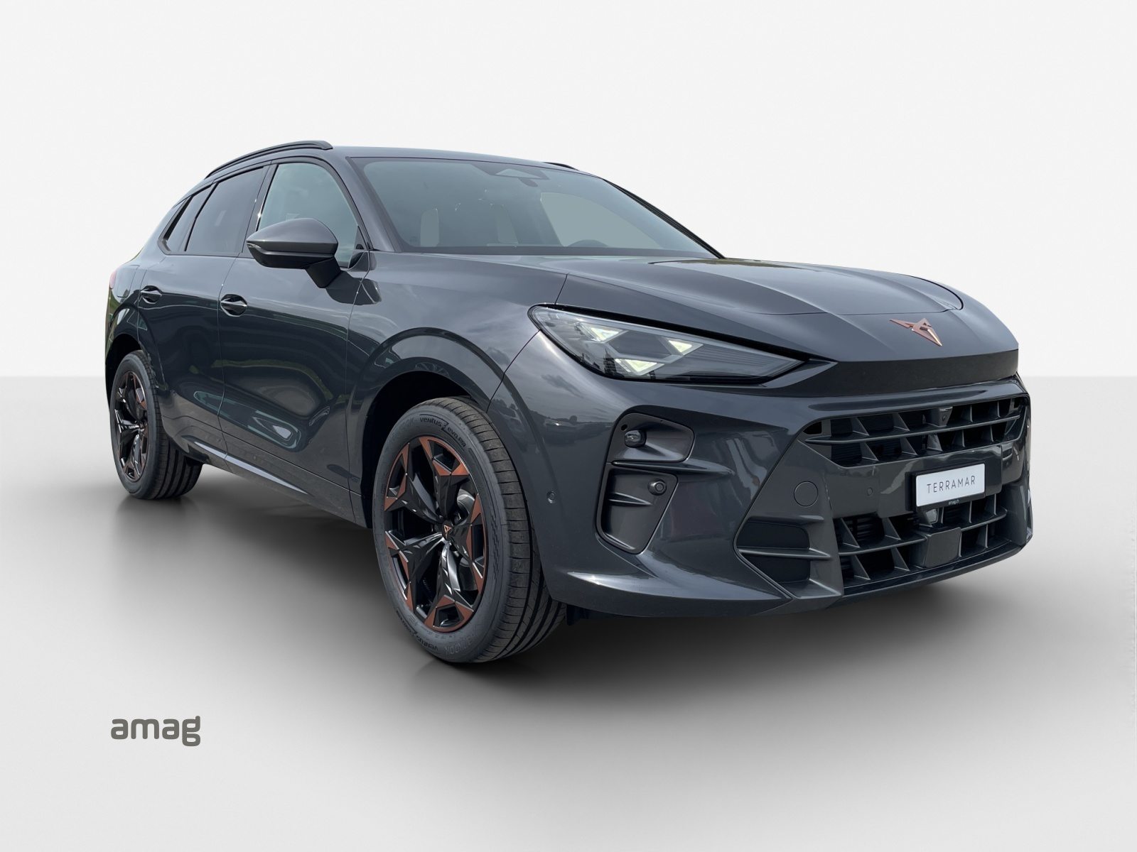 CUPRA TERRAMAR 4DRIVE PRIME EDITION, Essence, Voiture nouvelle, Automatique - 6
