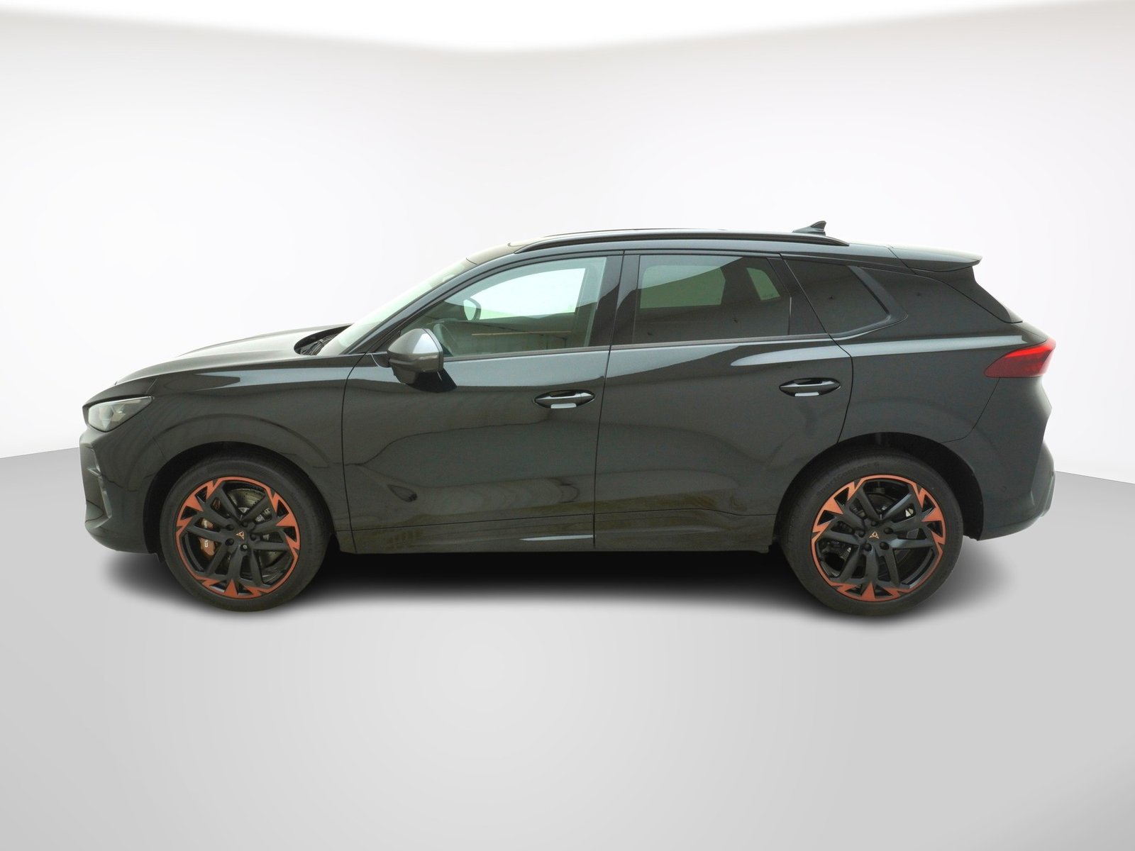 CUPRA Terramar 2.0 TSI VZ Performance 4Drive DSG, Petrol, New car, Automatic - 2