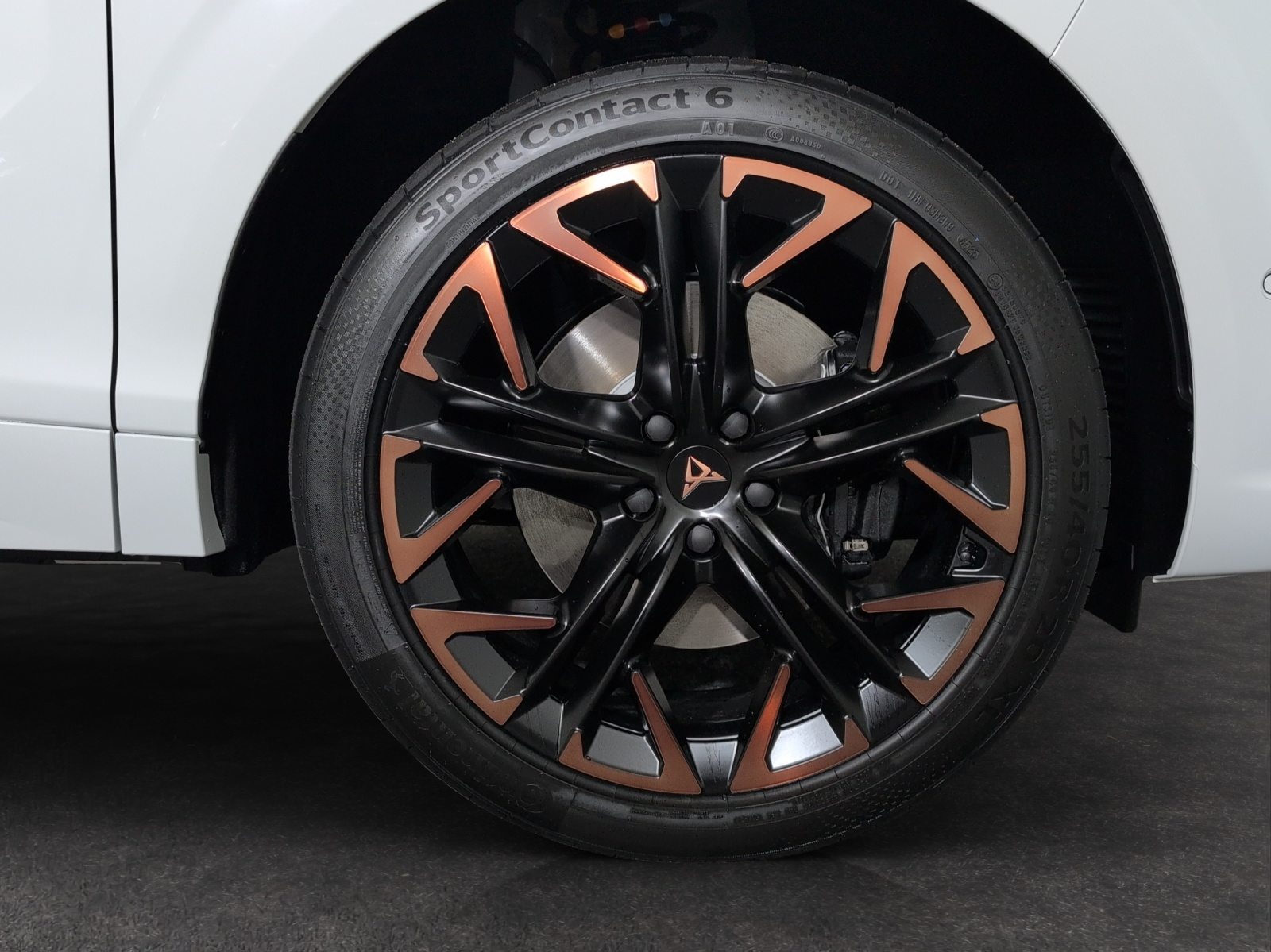 CUPRA TERRAMAR VZ 4DRIVE PRIME EDITION, Benzina, Auto nuove, Automatico - 5