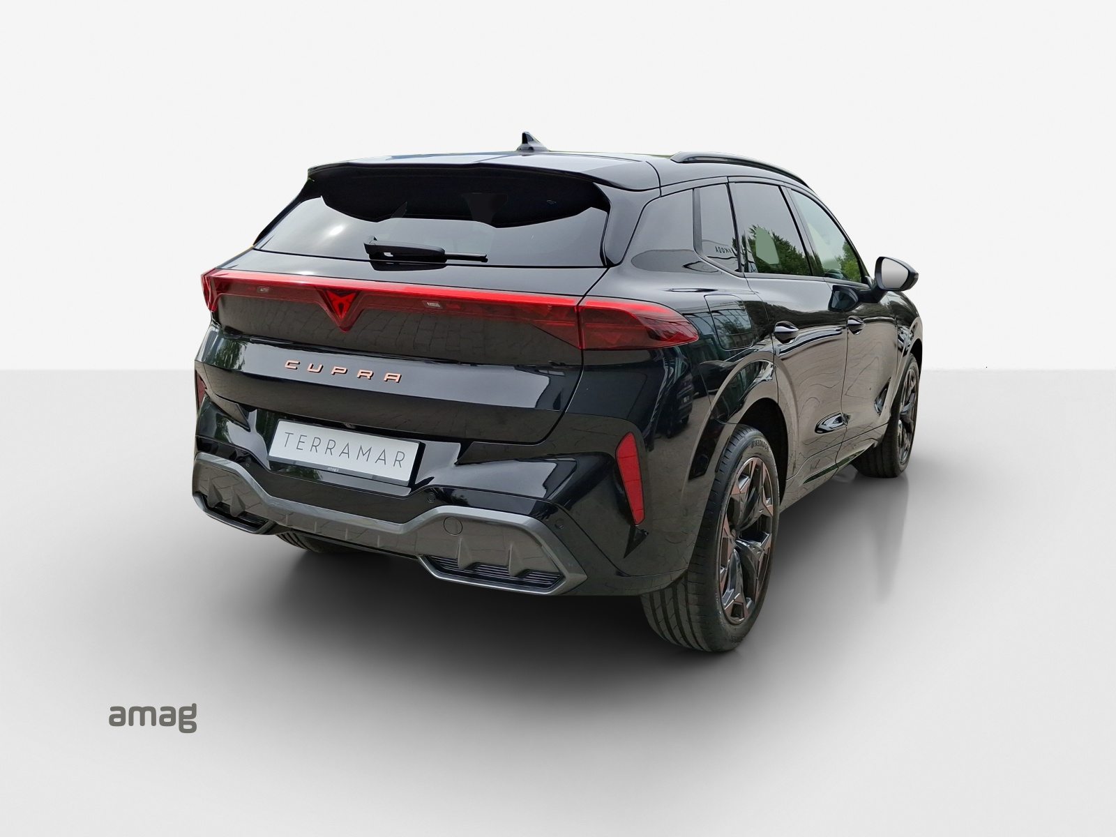 CUPRA TERRAMAR 4DRIVE PRIME EDITION, Essence, Voiture nouvelle, Automatique - 5
