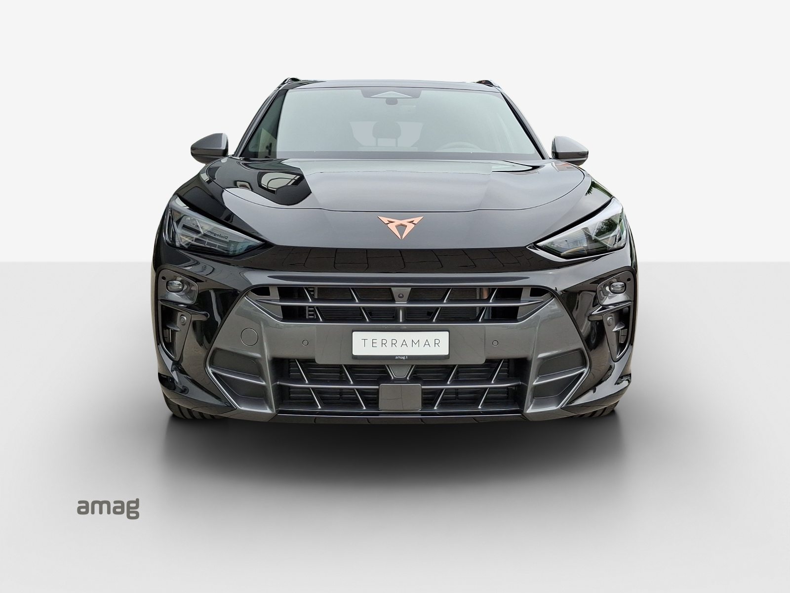 CUPRA TERRAMAR 4DRIVE PRIME EDITION, Essence, Voiture nouvelle, Automatique - 7